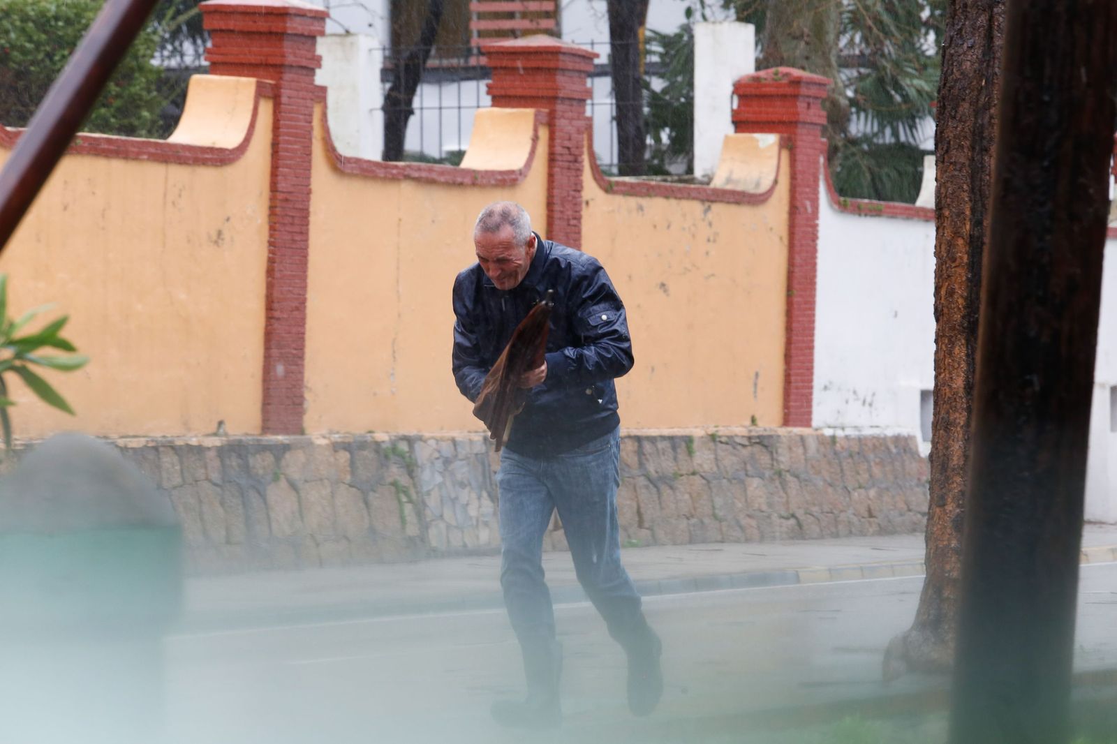 Fotografías de árboles caídos e inundaciones por la borrasca Leonardo