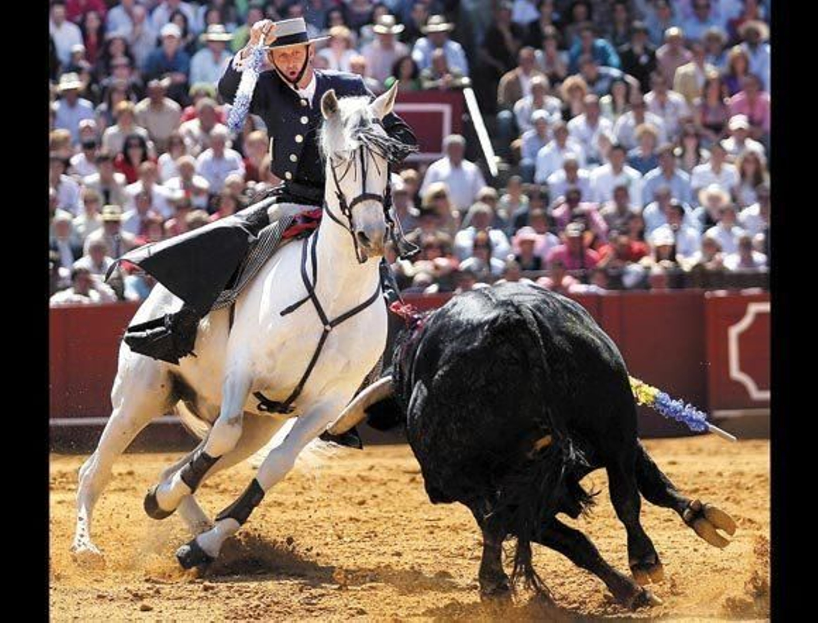 Antonio Domecq: Veterano, con raza y de dinastía