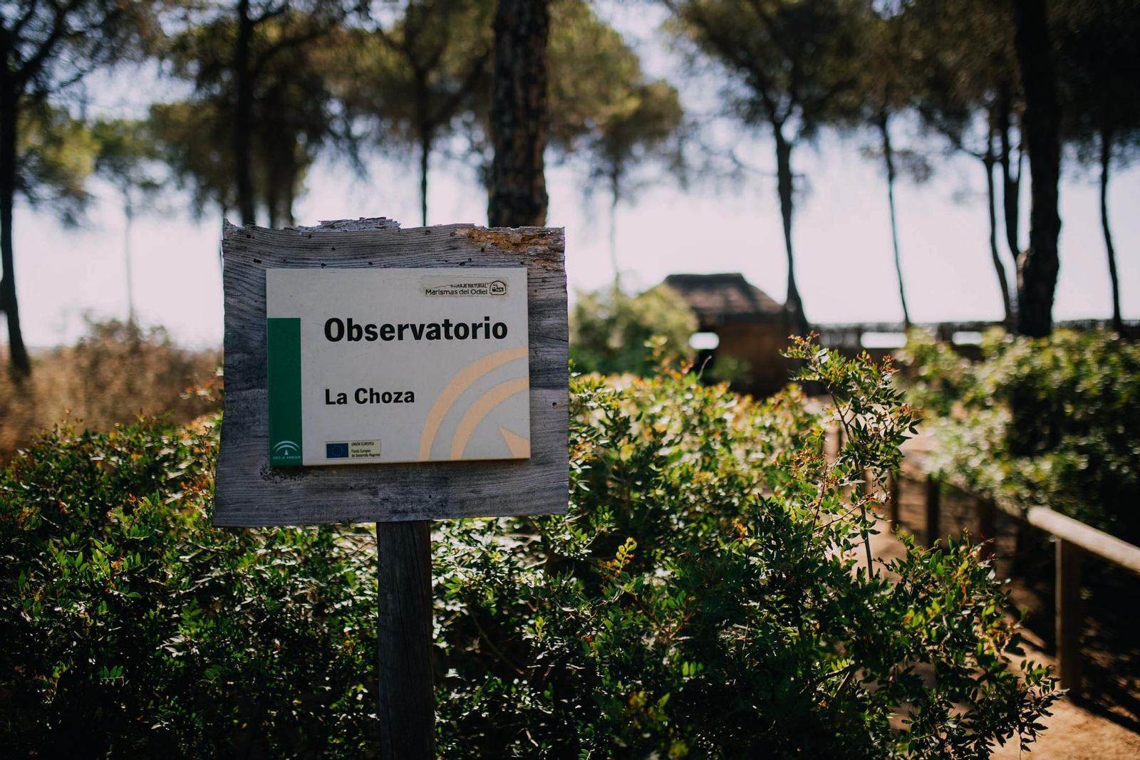 Un recorrido fotográfico por el Paraje Natural Marismas del Odiel