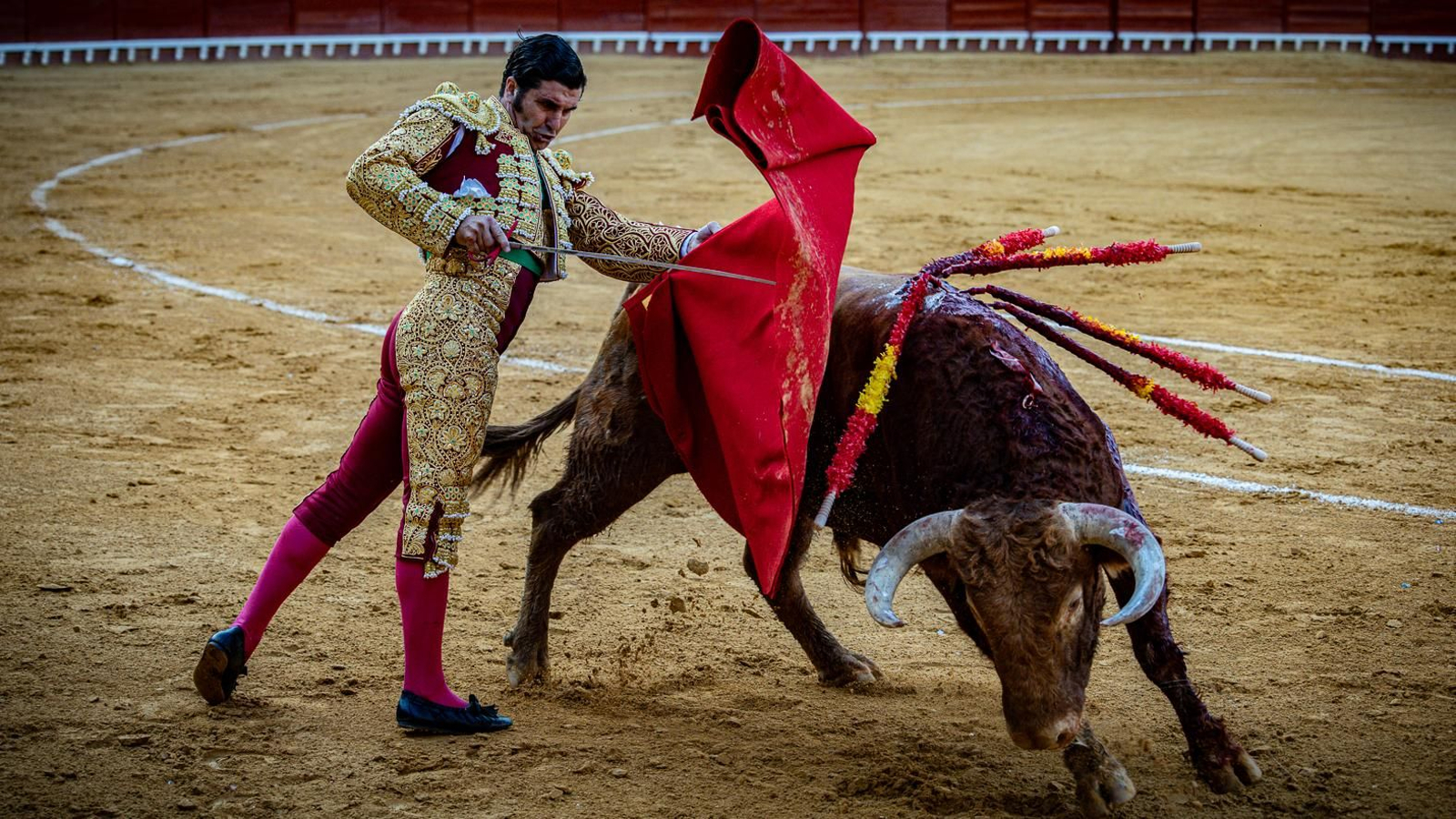 Las imágenes de la corrida de toros en El Puerto: Morante, Talavante y Juan Ortega