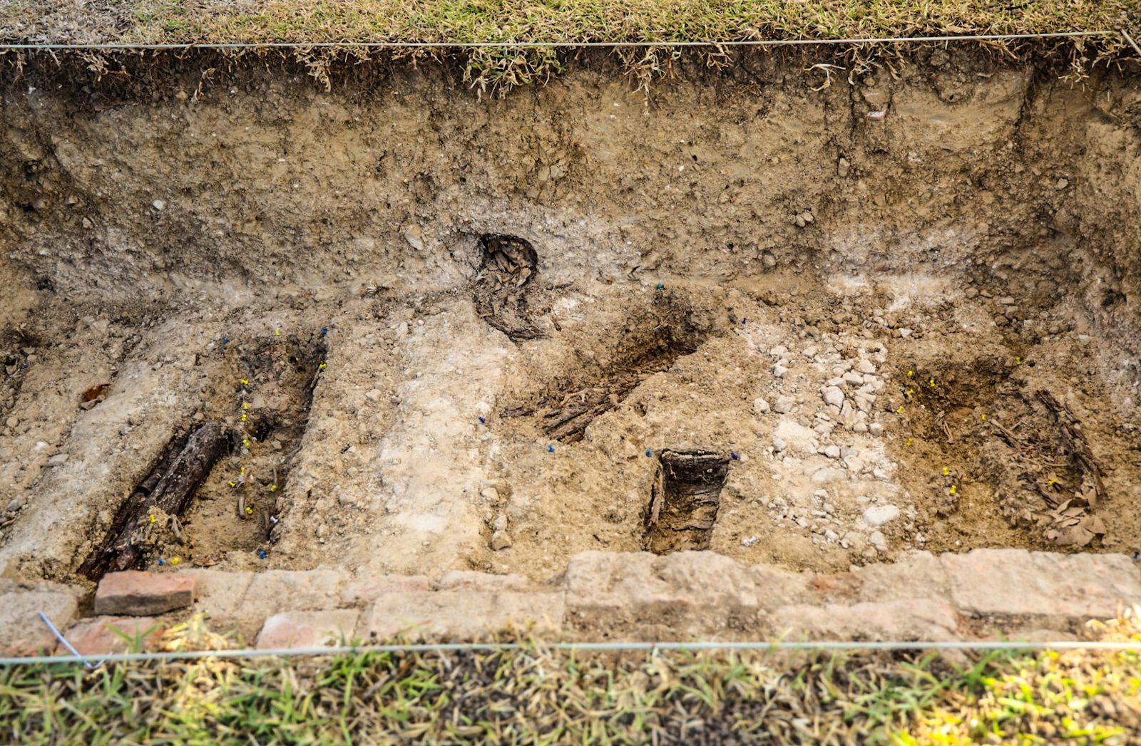 Imágenes de la exhumación de fosas comunes en el cementerio de Huelva para buscar posibles bebés robados
