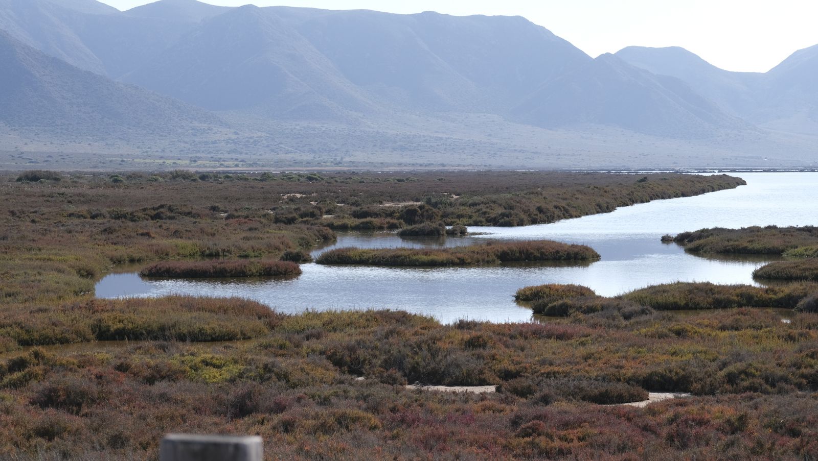 Imágenes de las Salinas de Cabo de Gata con agua otra vez