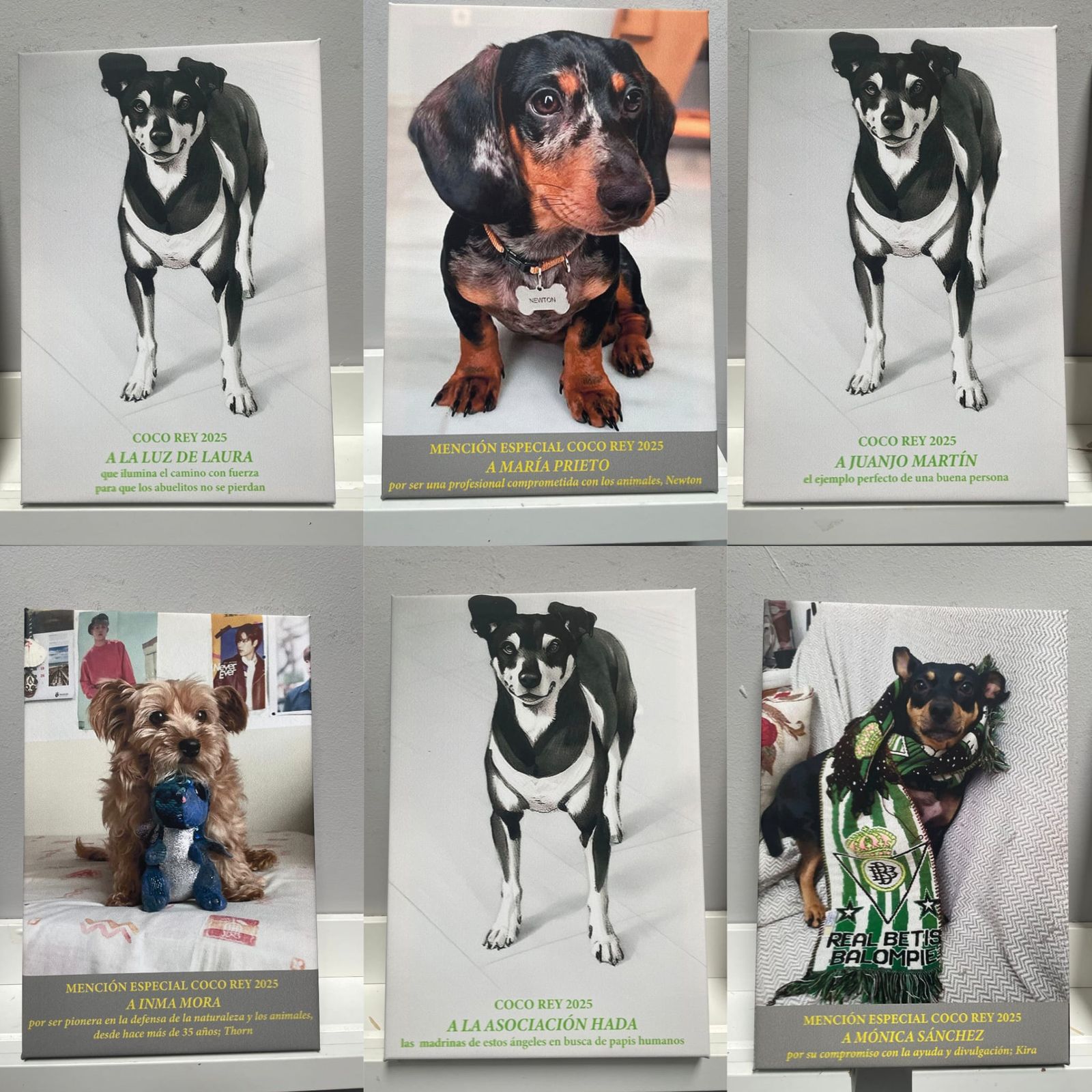 Los lienzos que se otorgaron a los premiados y a las menciones especiales