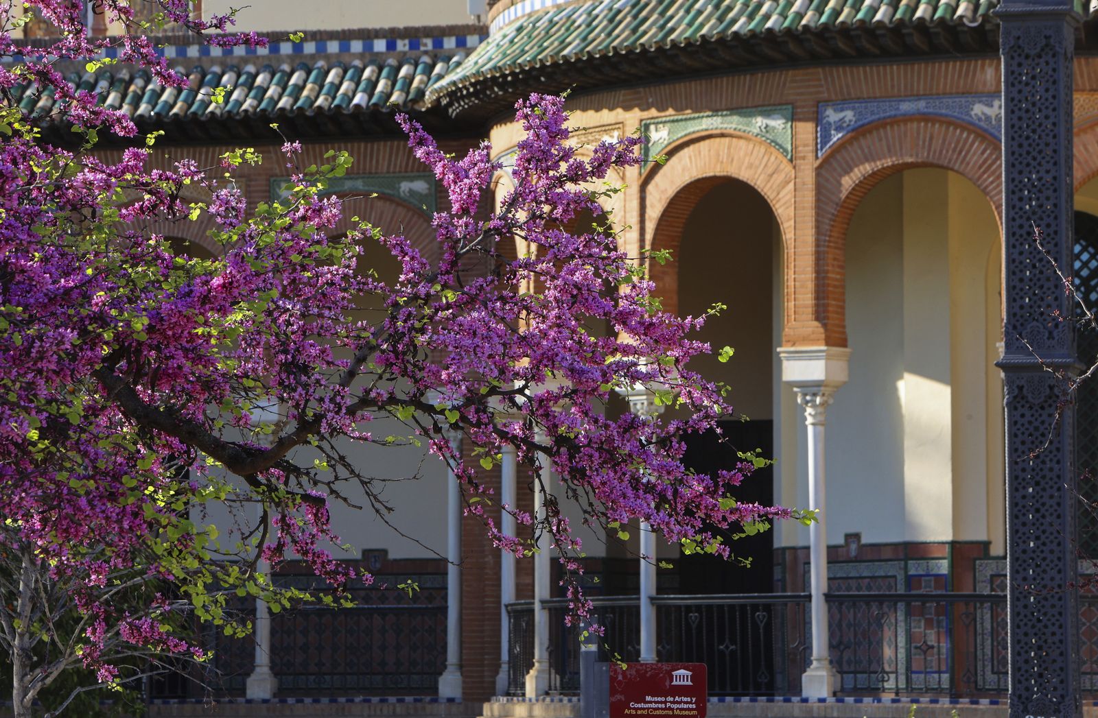 Primavera en Sevilla