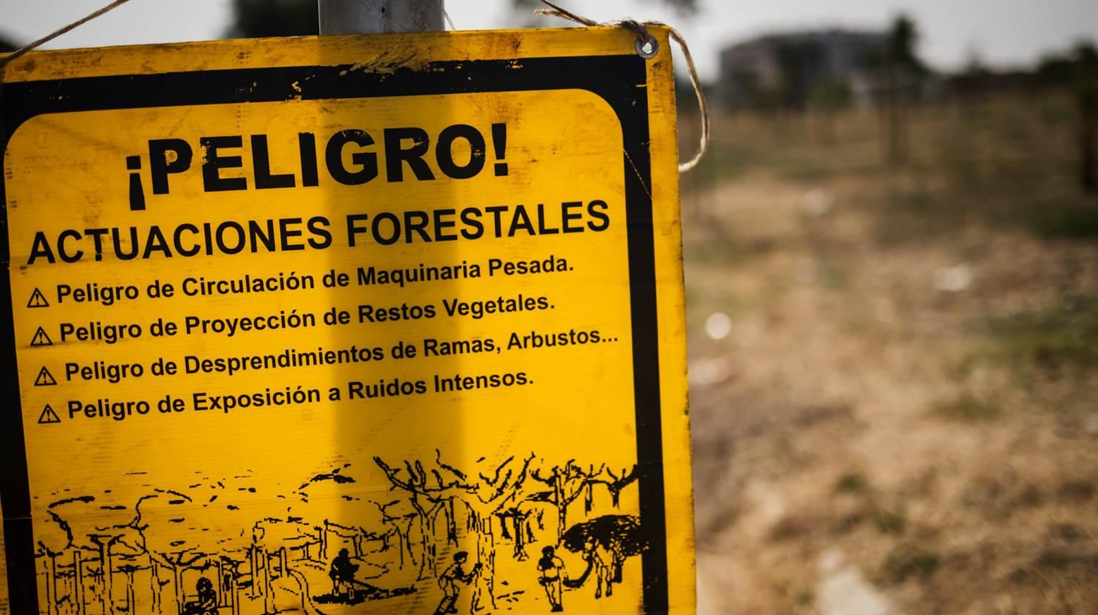 Así está el bosque urbano de La Canaleja en Jerez