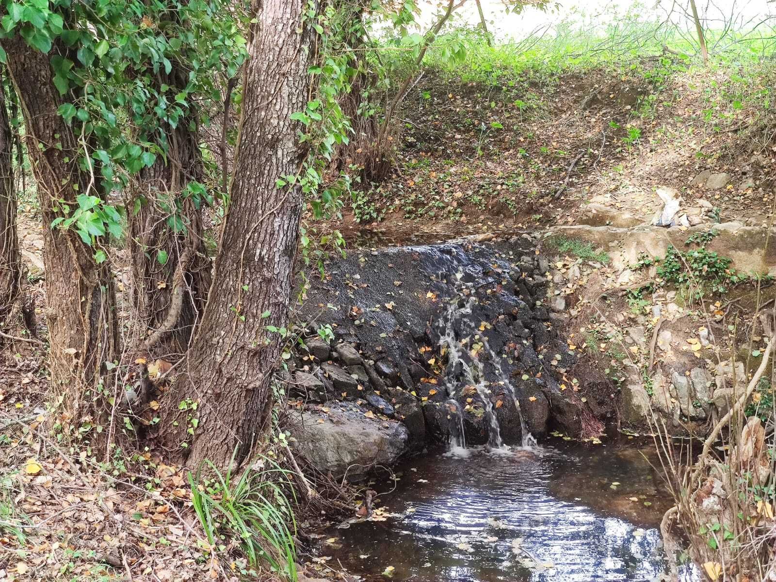 Una ruta familiar que enamora: el Bosque de las Letras en Santa Ana la Real