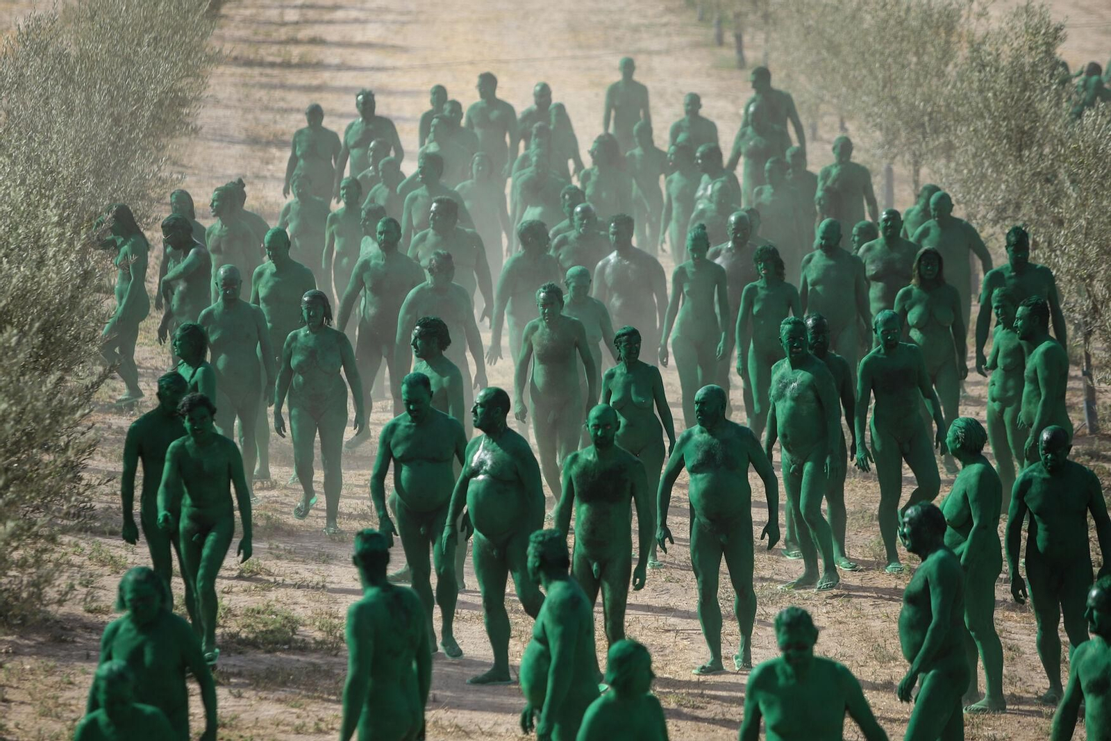 Las mejores imágenes del posado para Spencer Tunick en un olivar granadino.