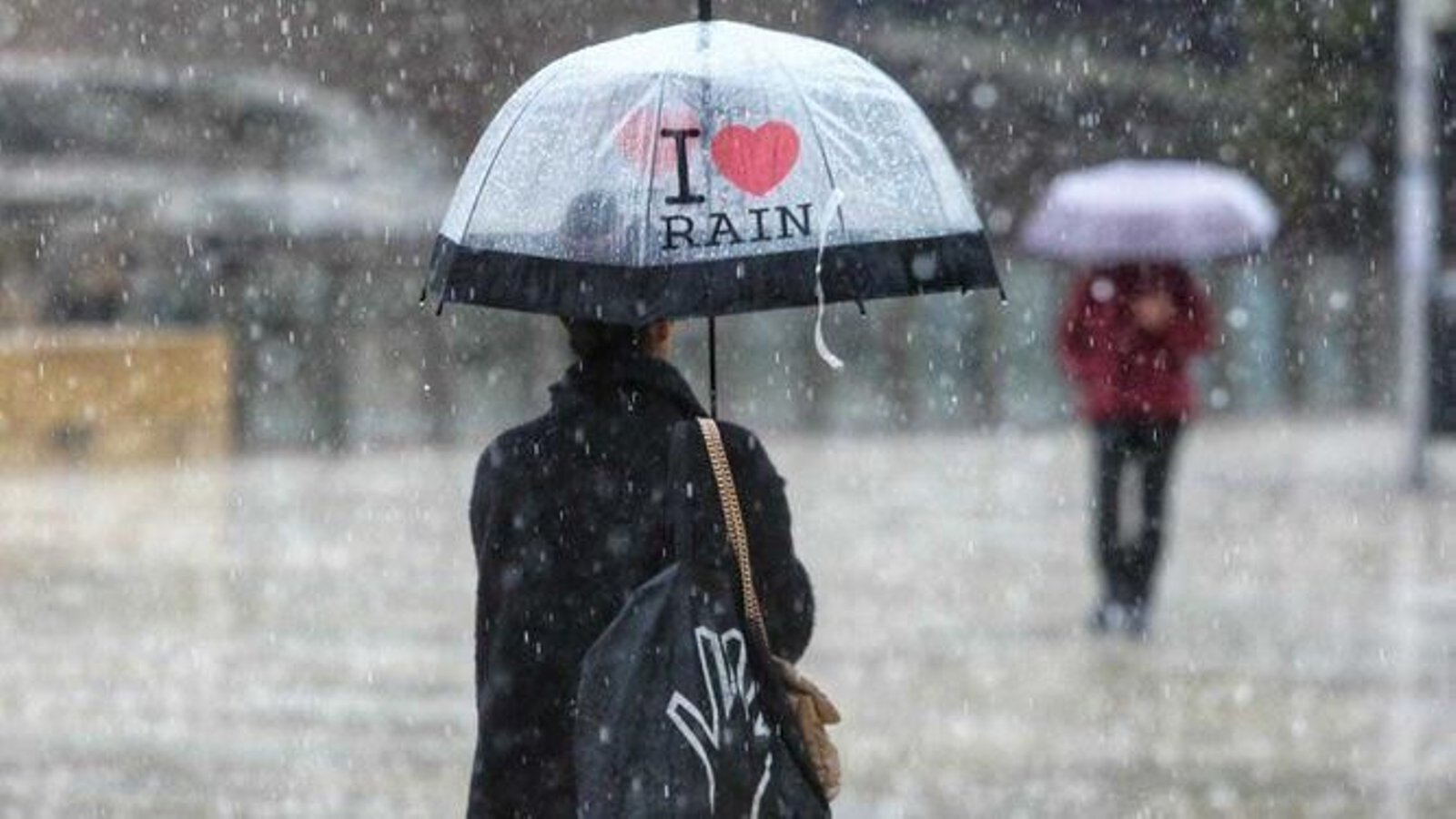 Una mujer camina por Málaga con su paraguas.