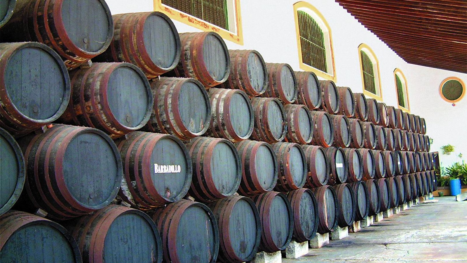 Andana de botas en las instalaciones bodegueras de Barbadillo en Sanlúcar.