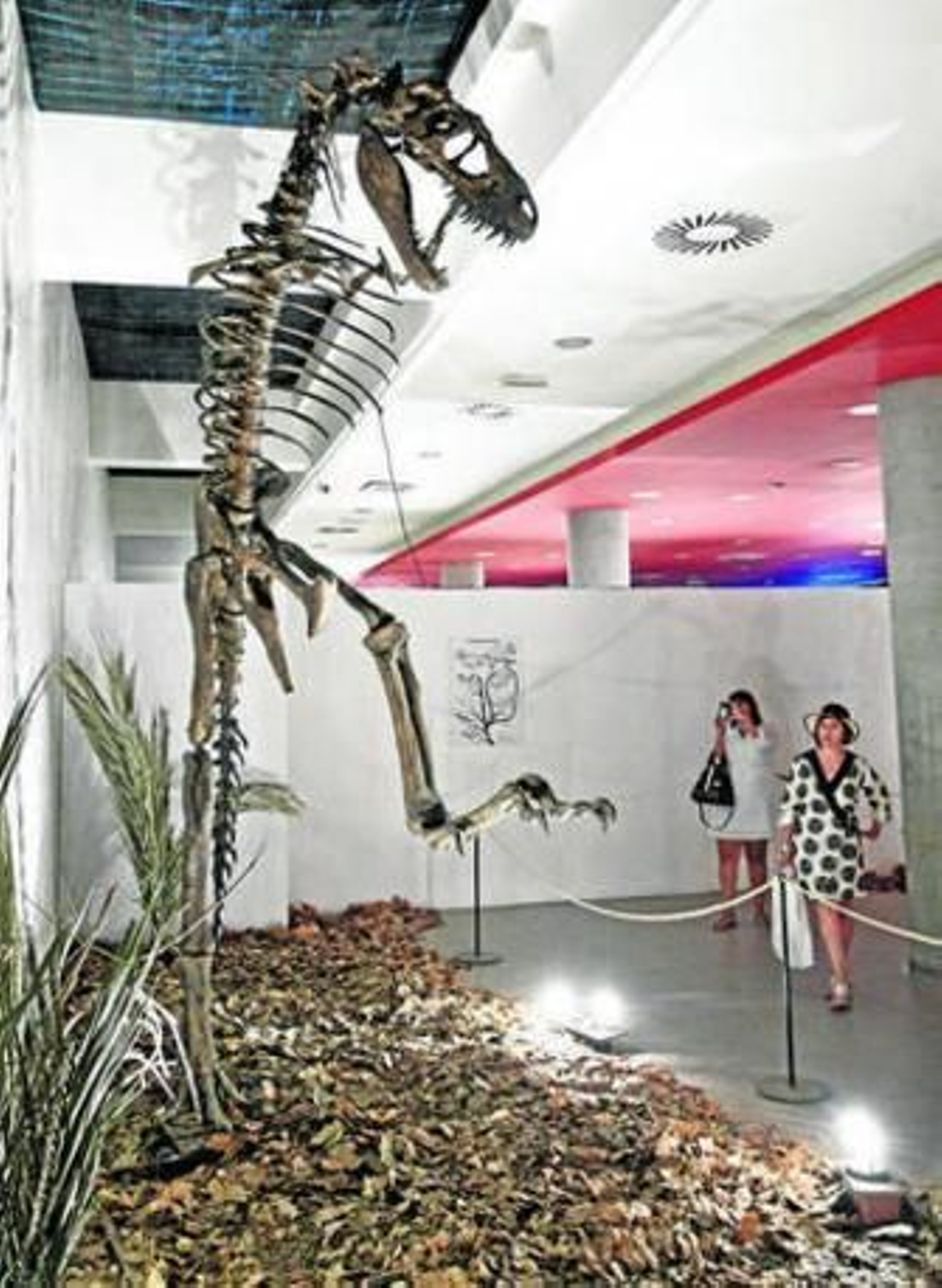 Una imagen de la exposición en su paso por La Línea.