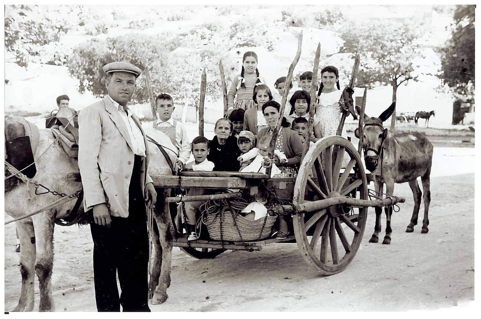 Fotografía de Ulises Castillo.