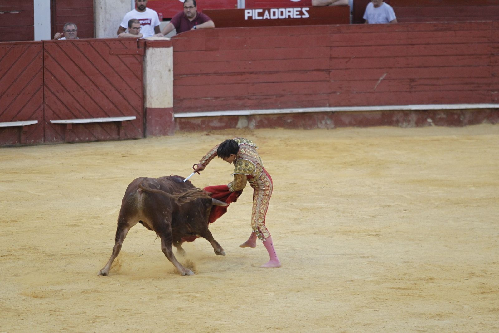 Fotogalería novillada Escuela Taurina de Almería. Feria de Almería 2019
