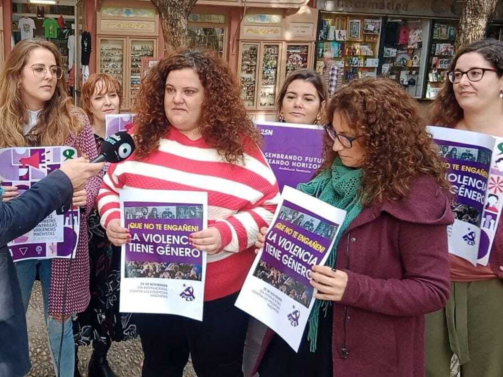 Compañeras de la Red de Feminismo de IU Cádiz, en plaza de la Yedra, este 25-N.