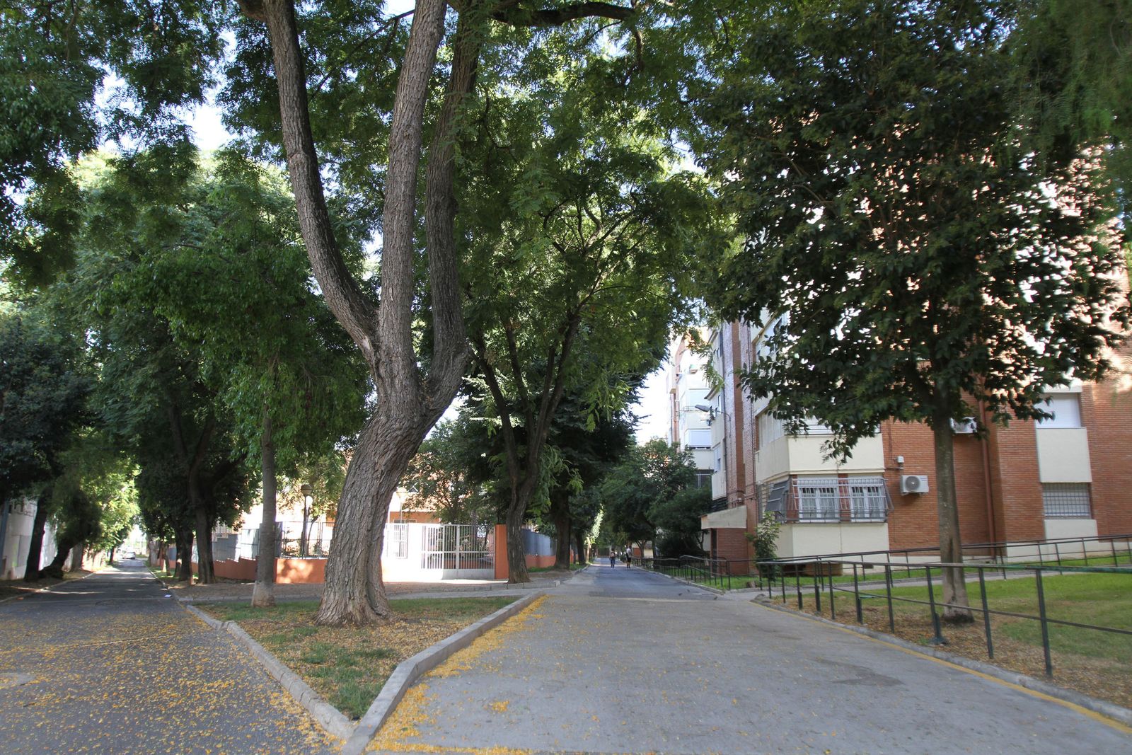 Uno de los tramos de la amplia zona peatonal interior de la barriada de Santa Marta.