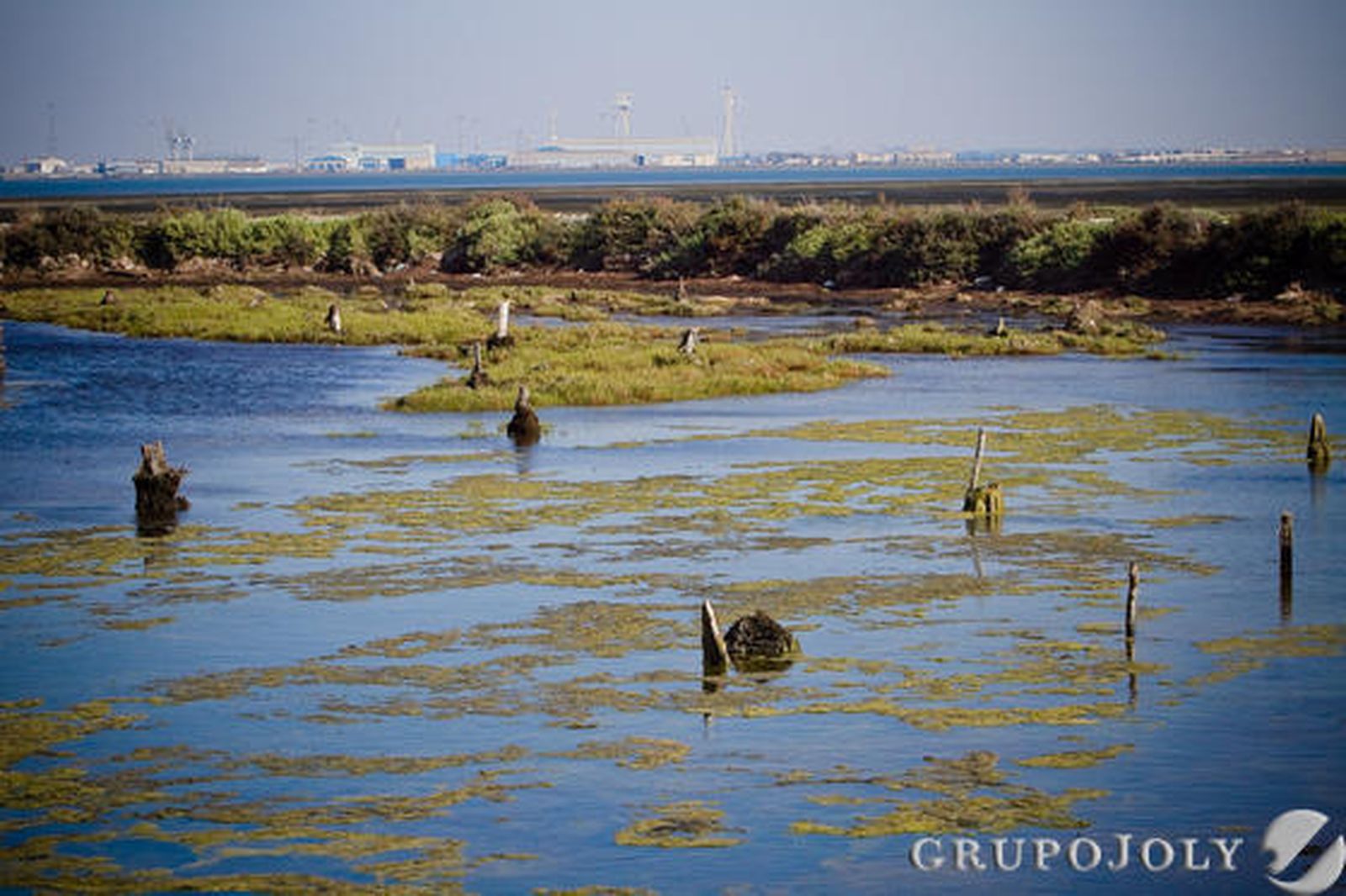 Foto: Lourdes de Vicente