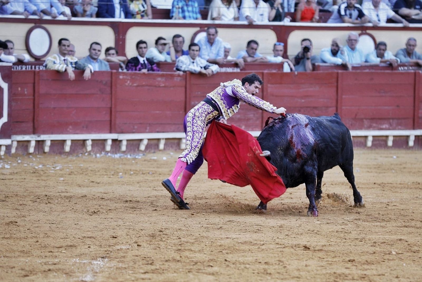 Imágenes de la despedida de Enrique Ponce en la plaza de toros de El Puerto