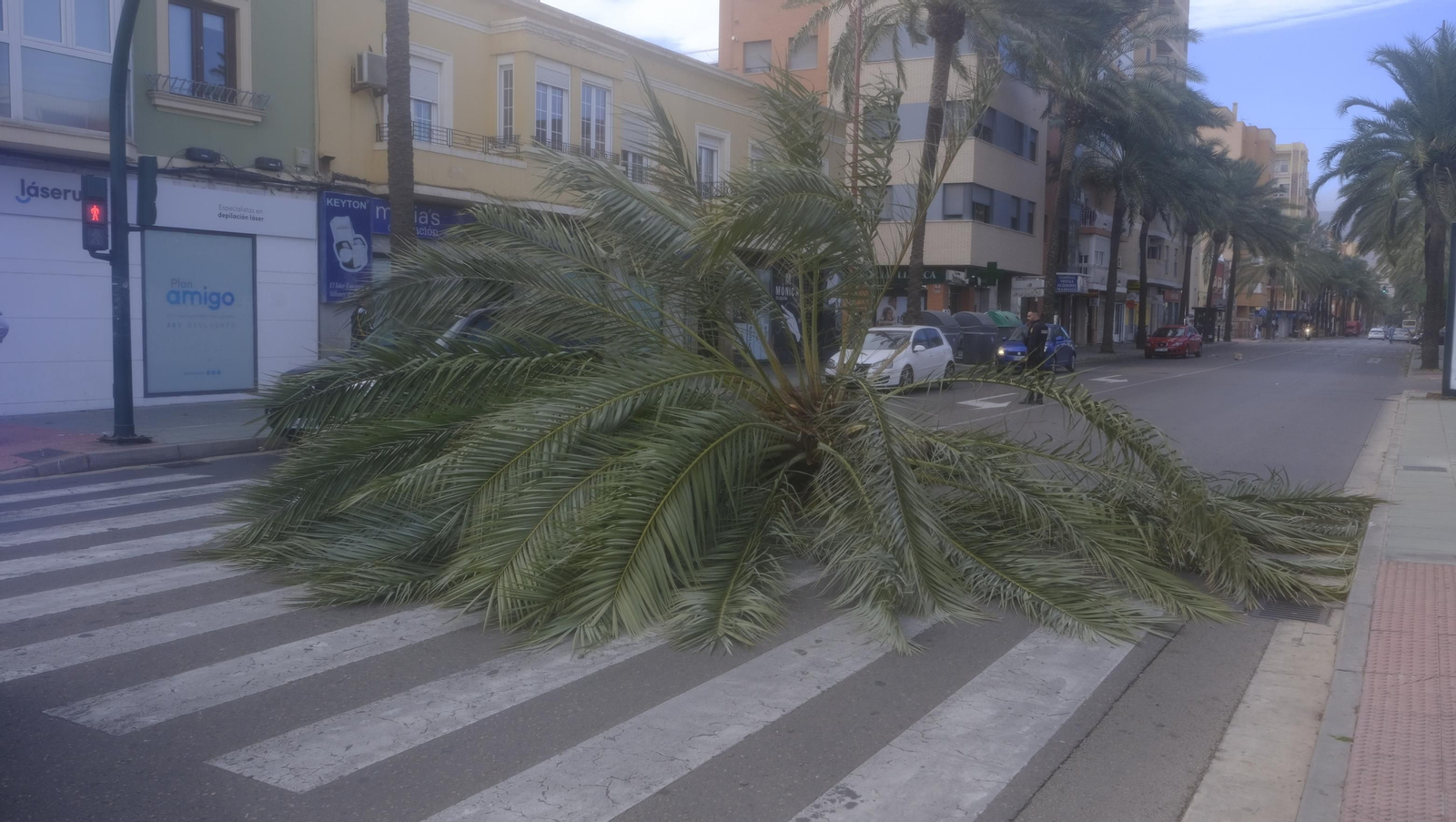 Imágenes del temporal de viento en Almería