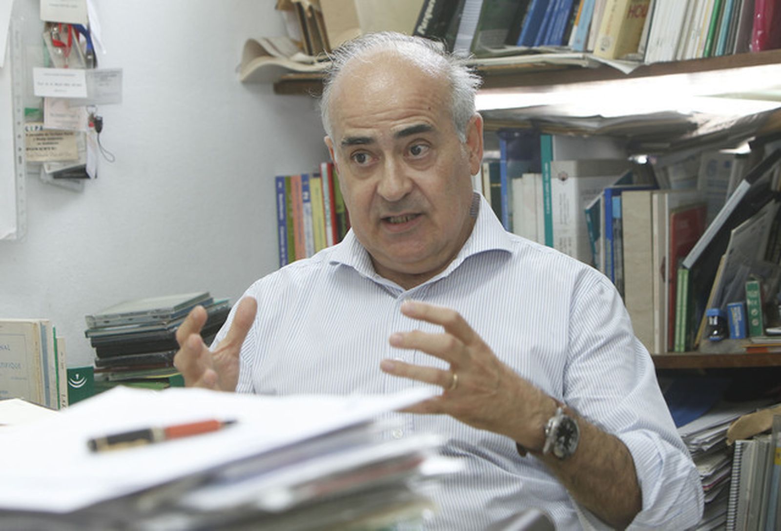 Mingui Márquez y los eucaliptales