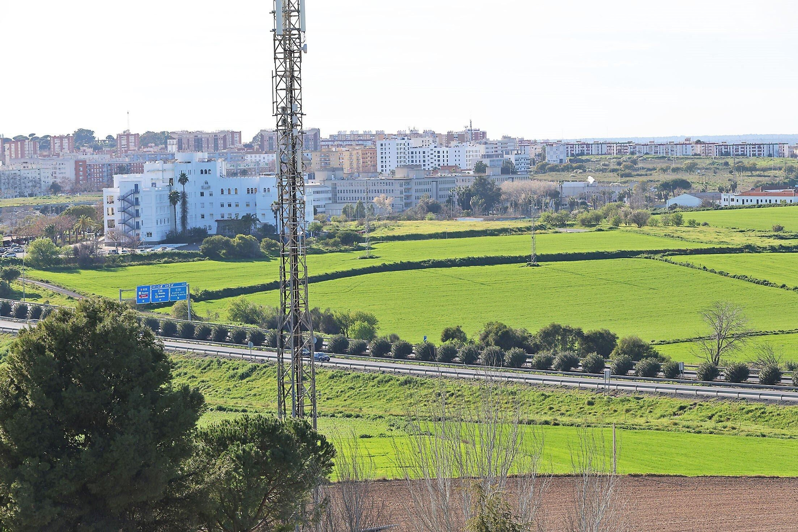 Parte de los terrenos de San Antonio Montija.