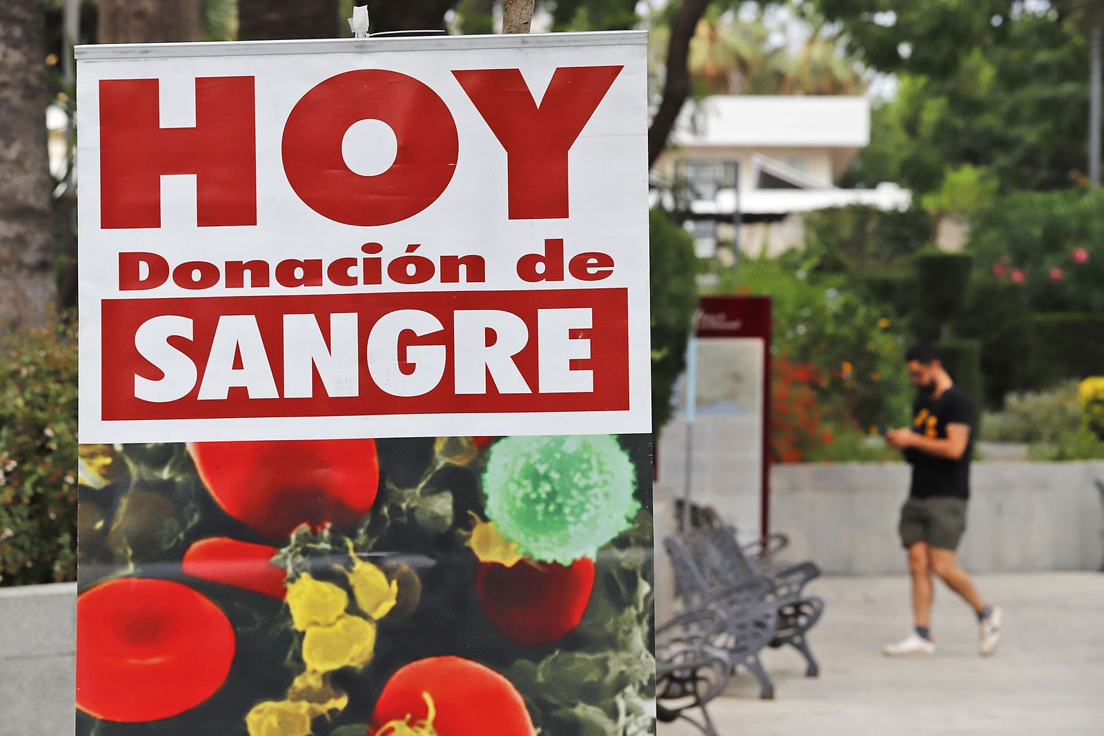 Imágenes de la Macrocolecta de sangre en la Casa Colón