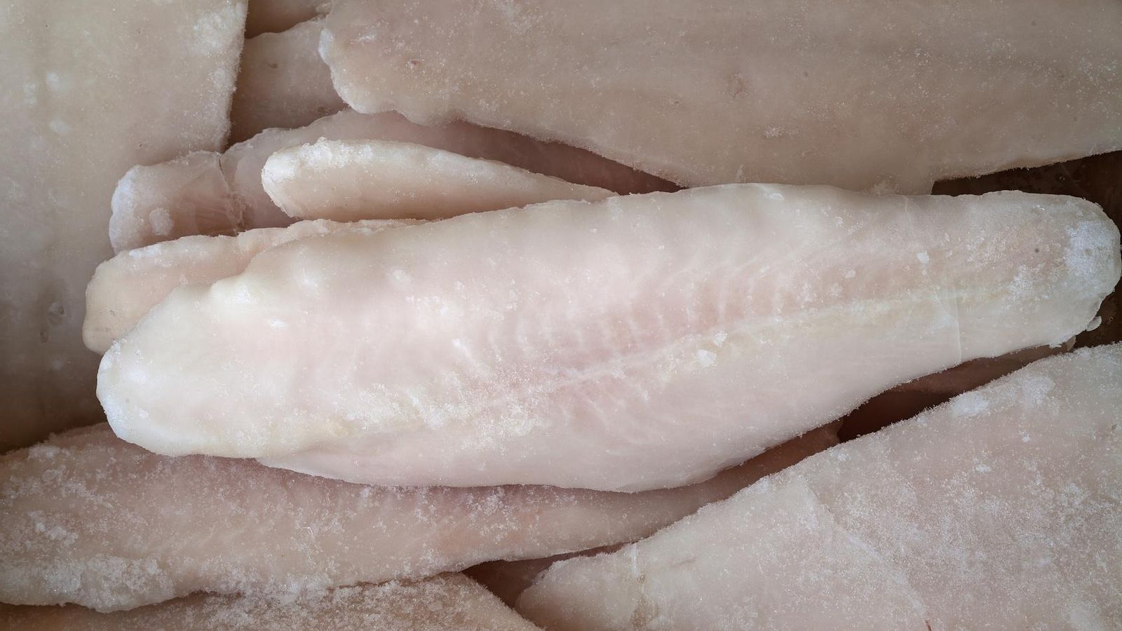 Filetes de pescado congelado.