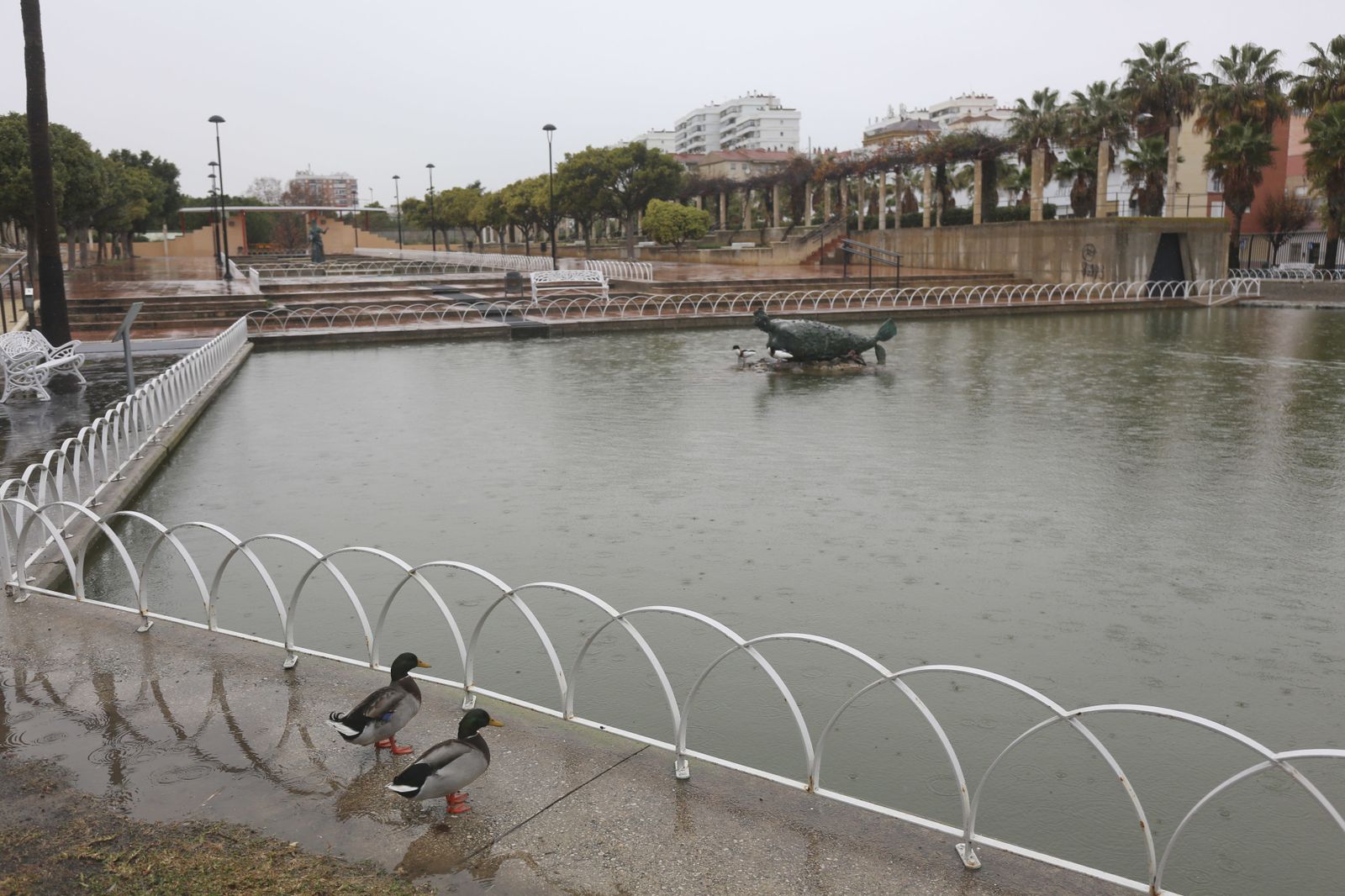 Uno de los estanques del Parque del Oeste.