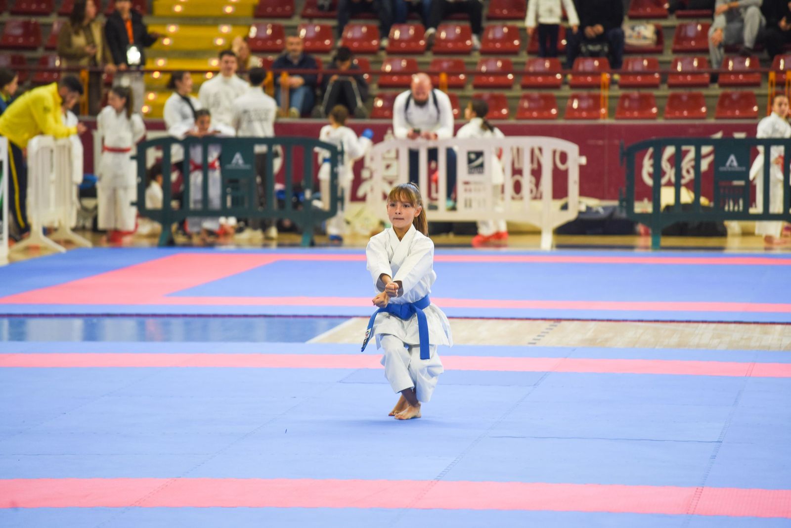 Las fotos del vibrante Campeonato de Andalucía de kárate infantil de Córdoba