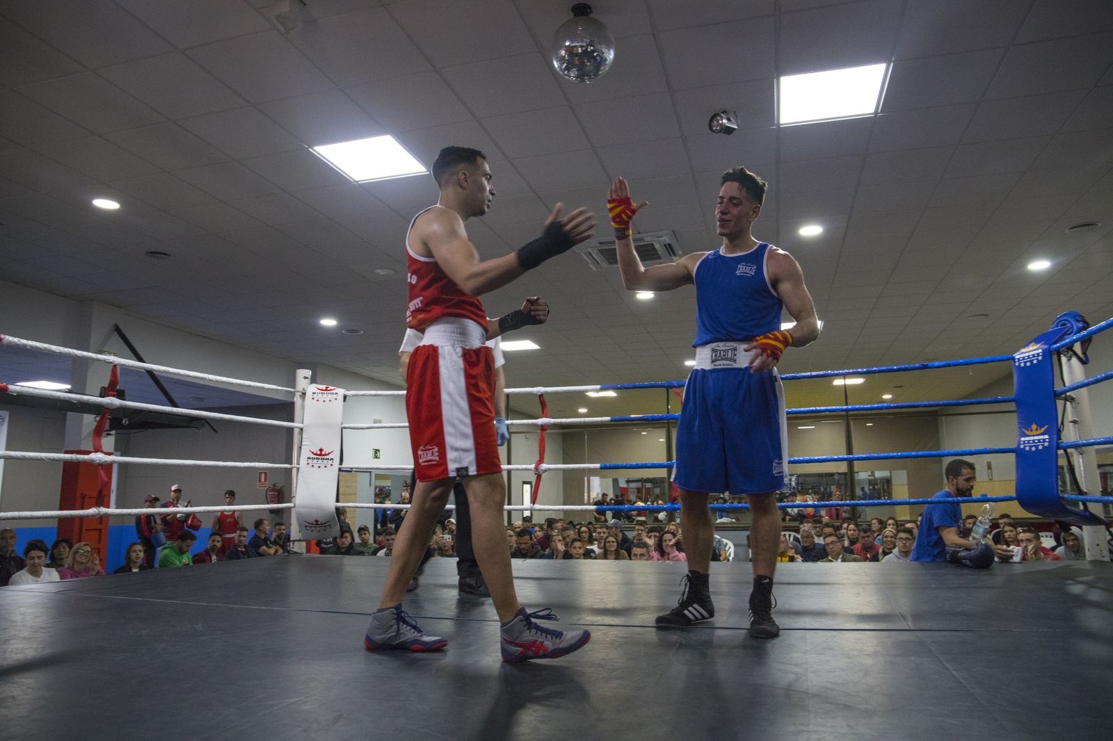 La cantera del boxeo granadino se luce en Armilla