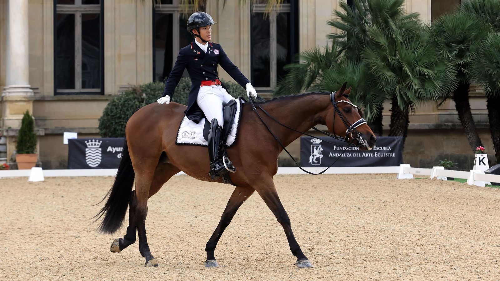 Concurso Internacional de Doma Clásica en La Real Escuela de Jerez