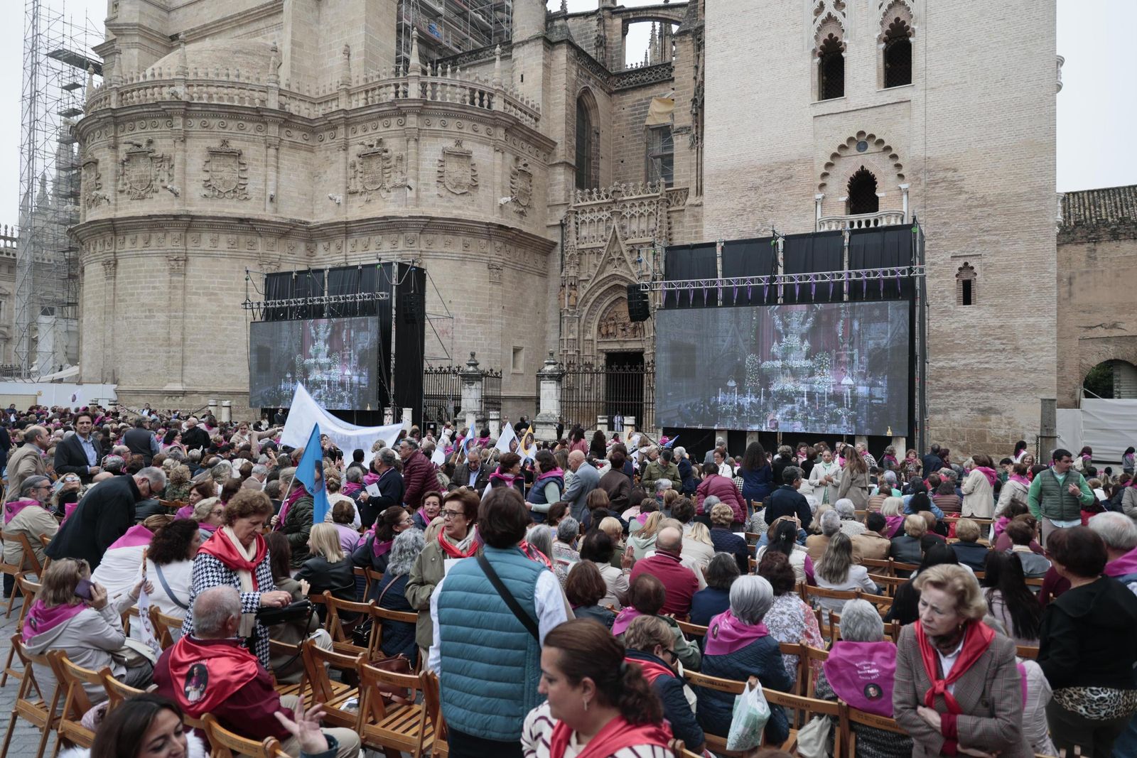 Las imágenes de la beatificación del Padre Torres Padilla