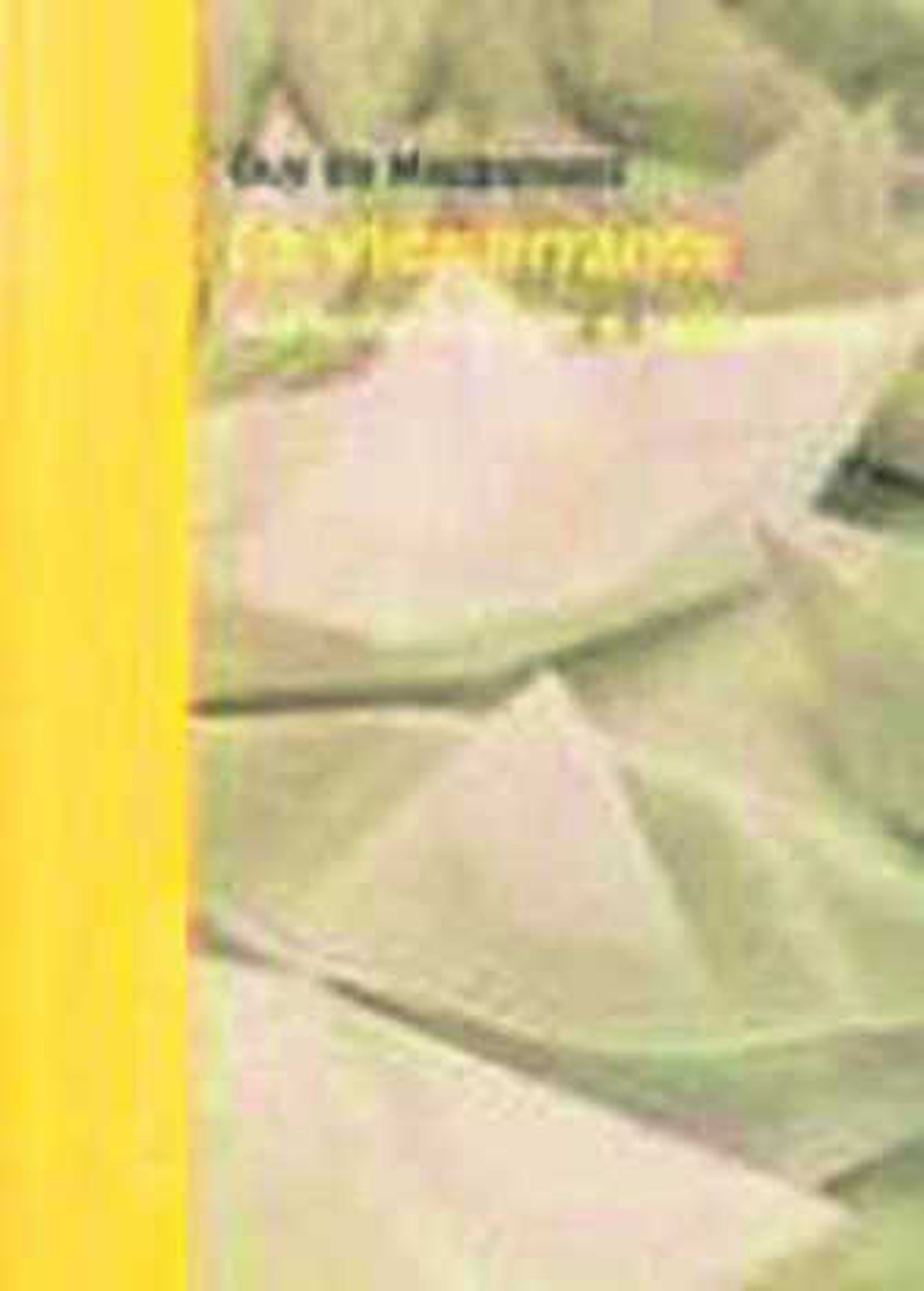 Retrato del escritor francés Guy de Maupassant.