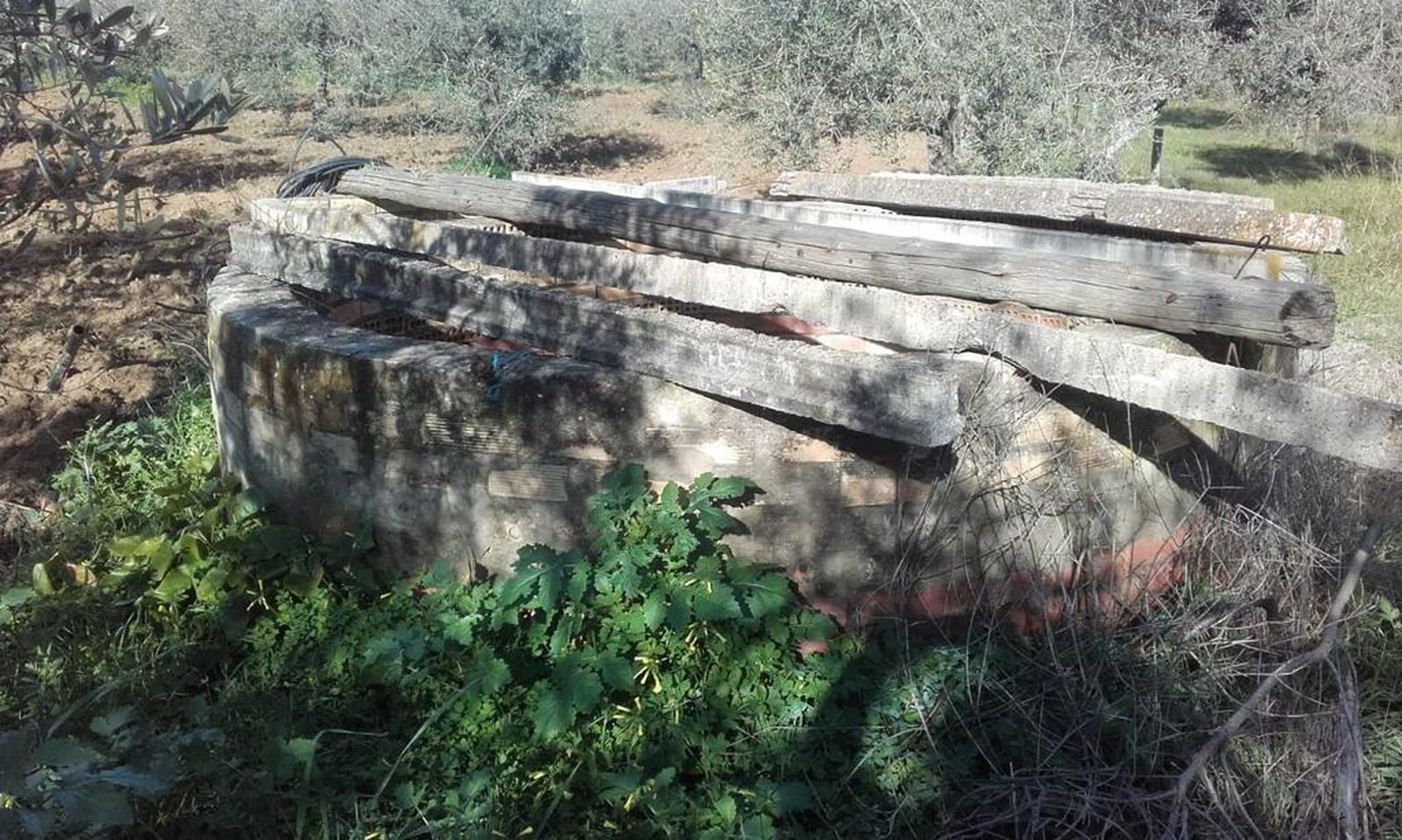 Un pozo tapado con vigas en el entorno del Riopudio, camino de Salteras.