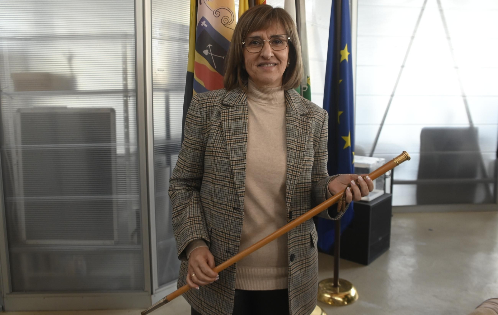 El tenso pleno de la moción de censura en Peñarroya-Pueblonuevo, en imágenes