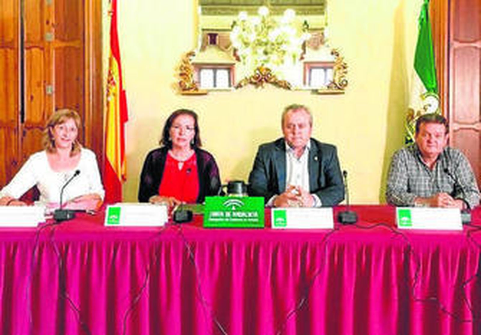 La delegada del Gobierno de la Junta junto a los sindicatos.