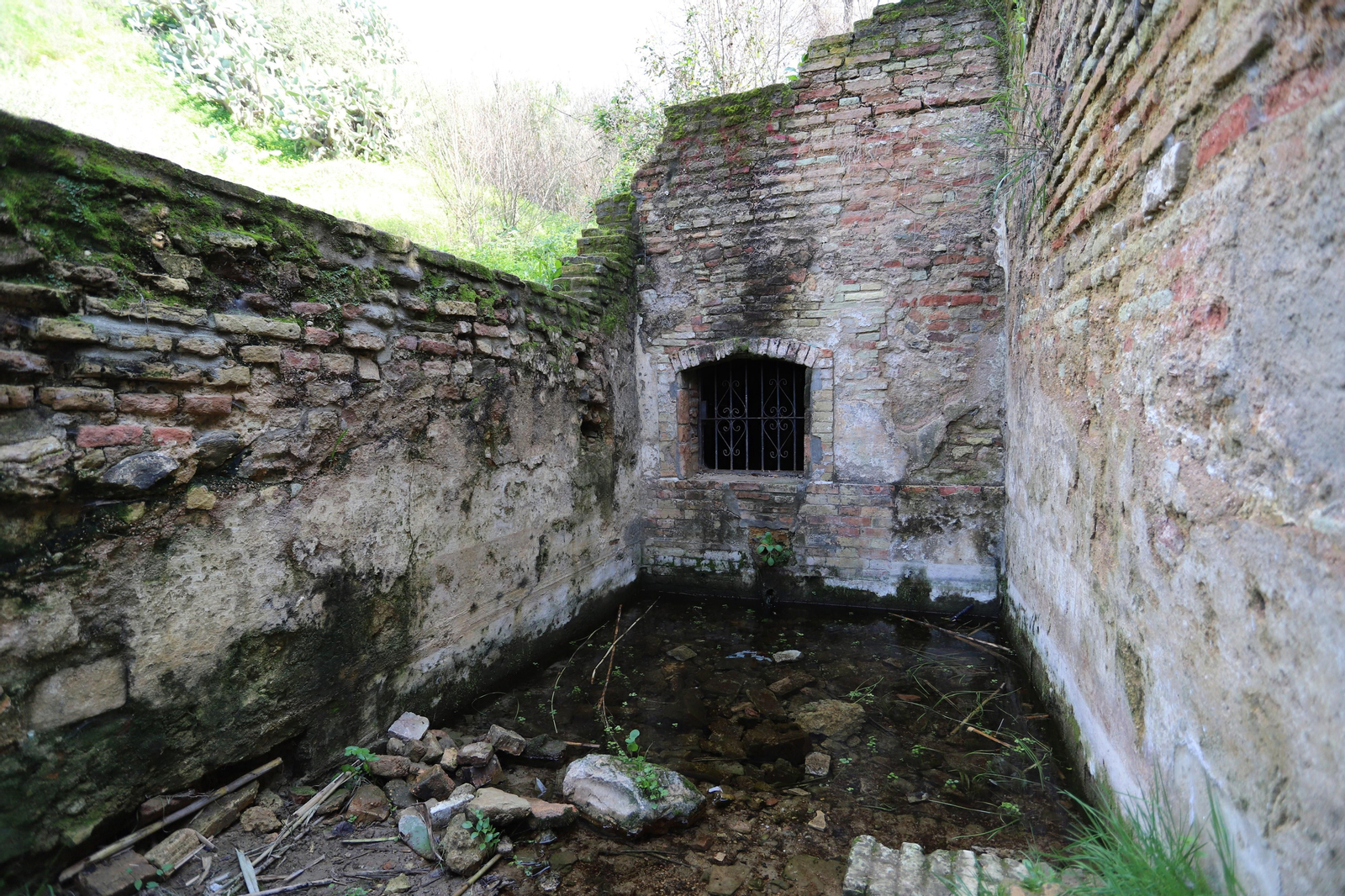Imágenes del mirador del Conquero, de los cabezos y Fuentevieja