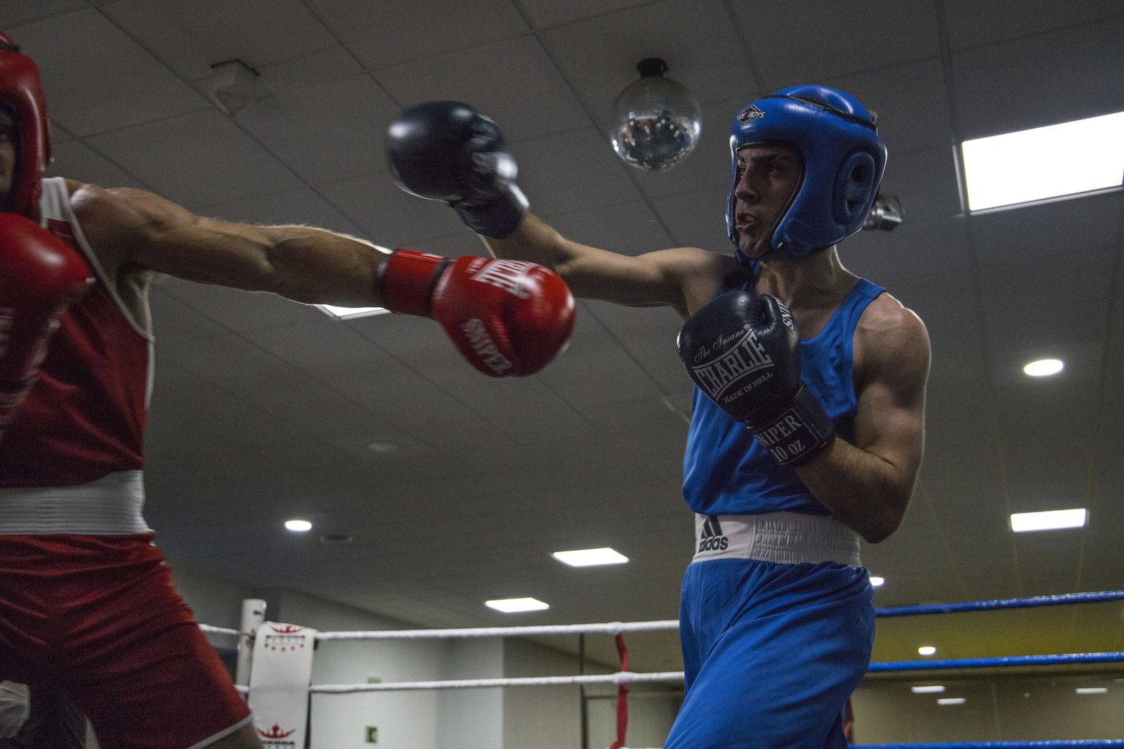 La cantera del boxeo granadino se luce en Armilla