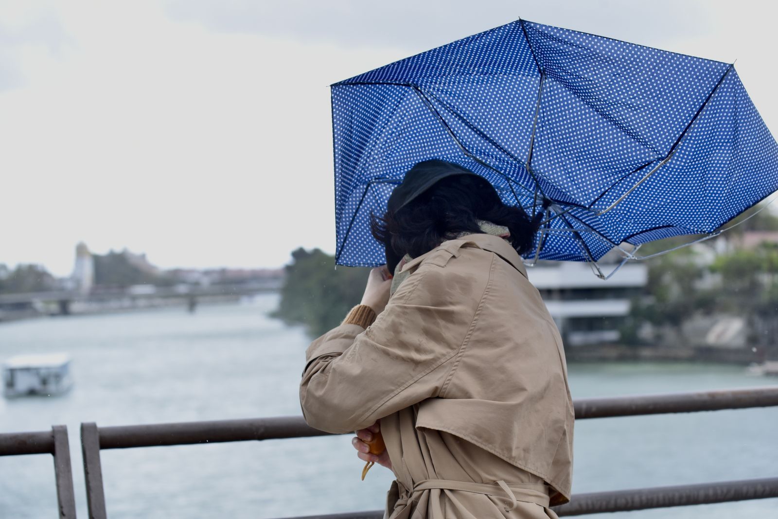 Lluvia y viento en Sevilla
