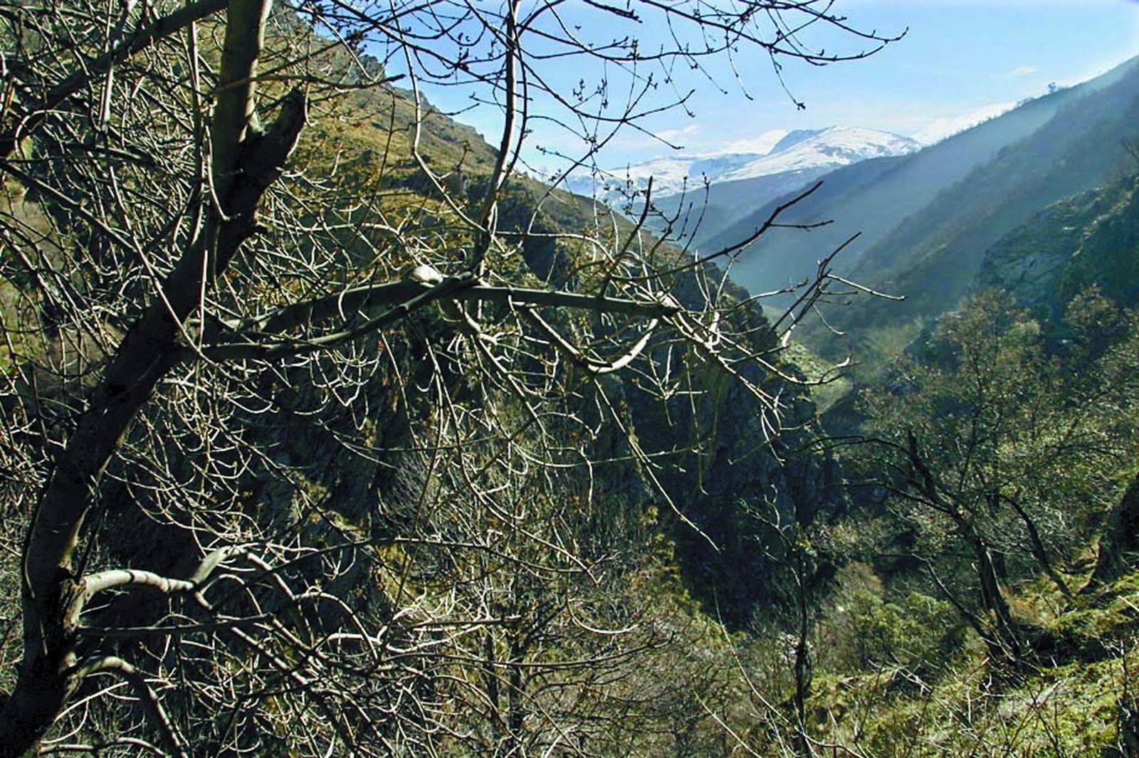 Vista del macizo desde la Vereda de la Estrella.