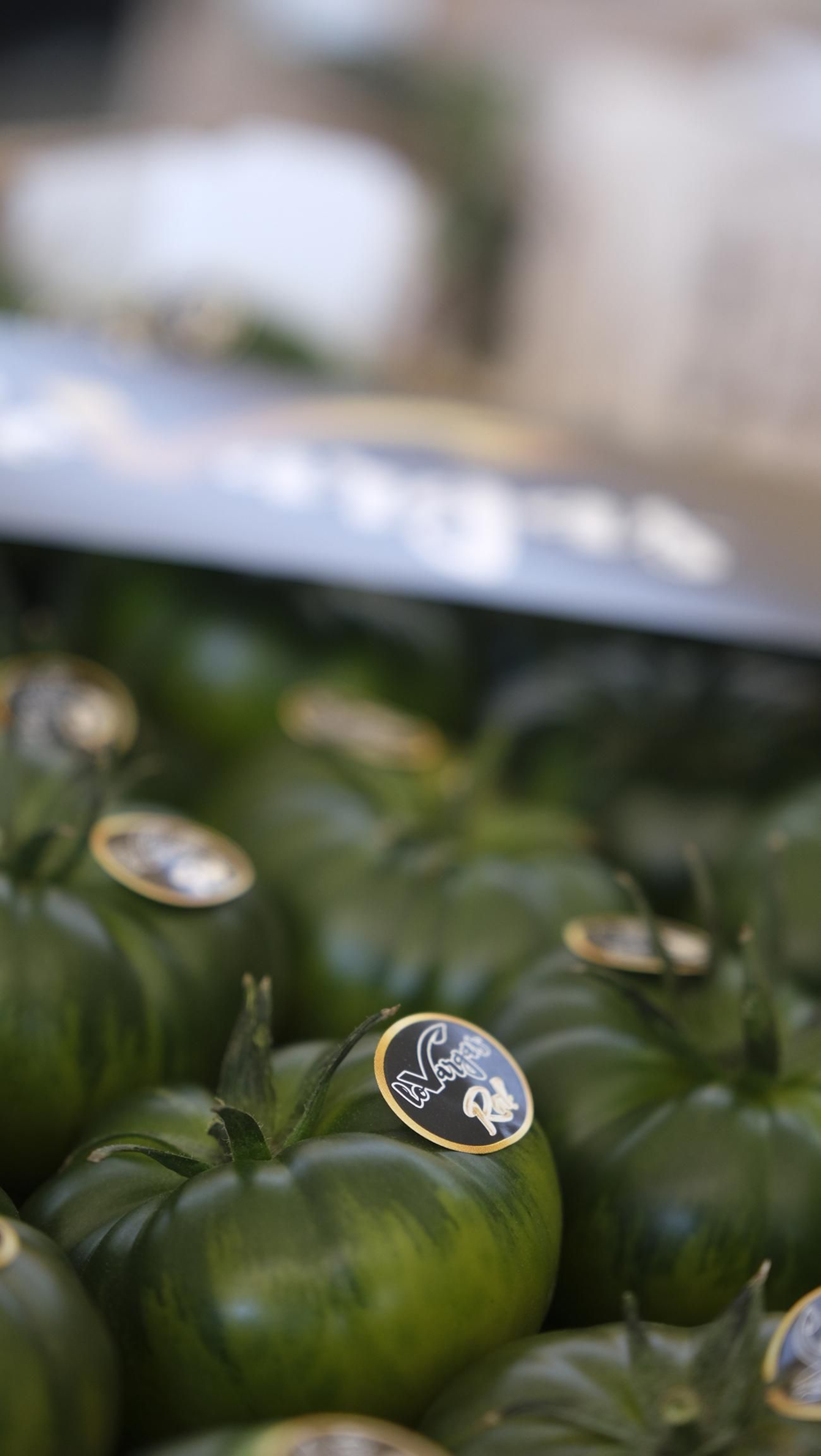 El auténtico Raf LoVargas