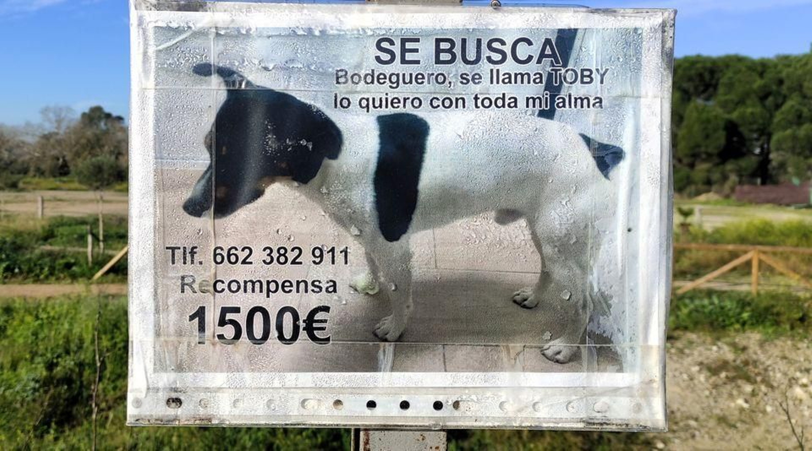 Cartel que los ecologistas encontraron junto al río Guadalete.