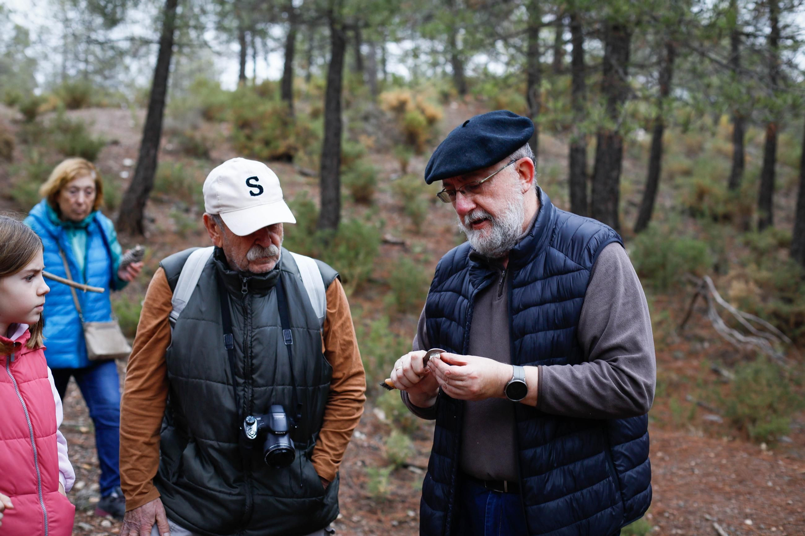 La ruta recolectora de setas en Abla por las XIX Jornadas Micológicas, en imágenes