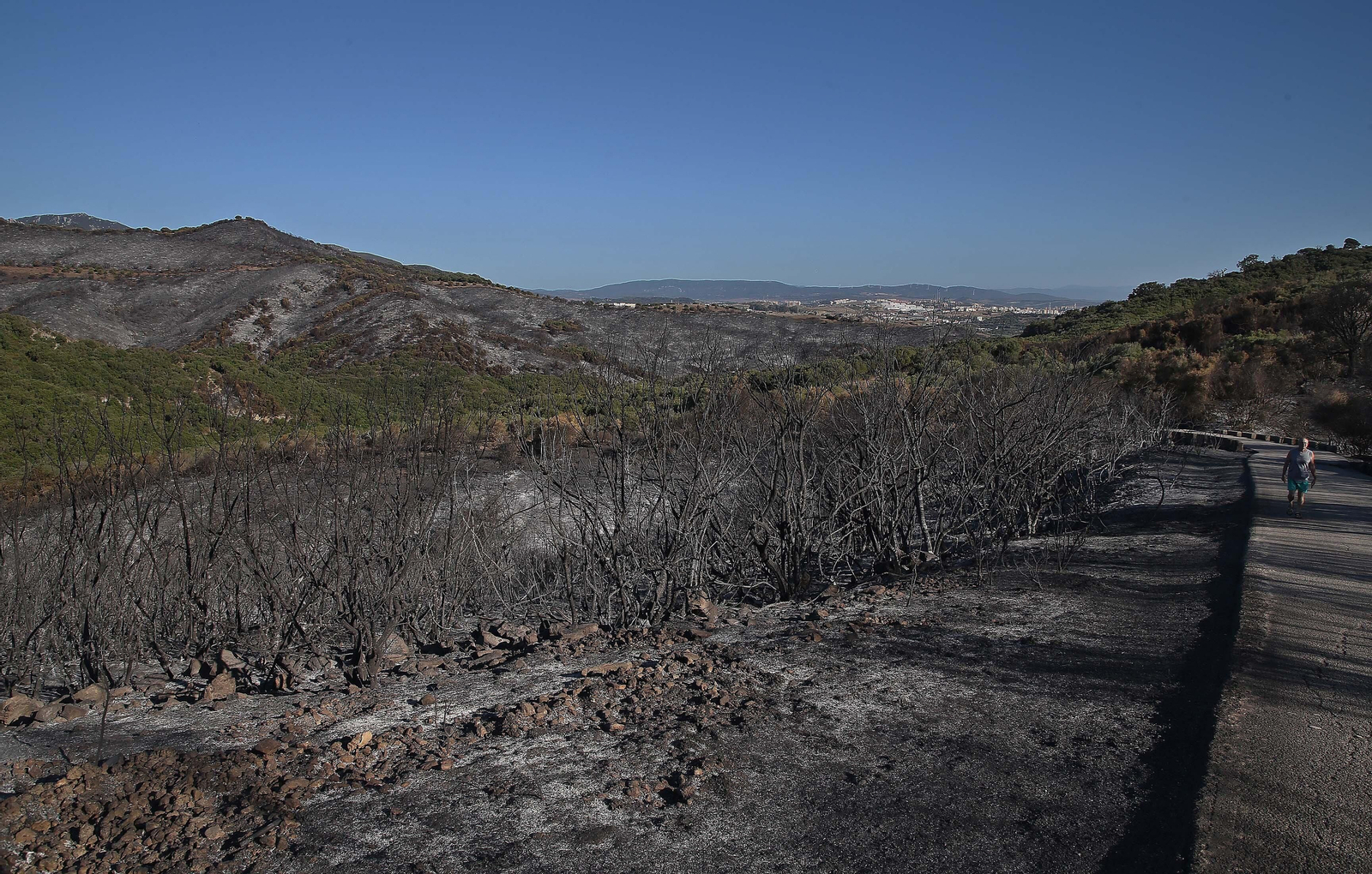 El impacto del incendio forestal de Algeciras, en imágenes