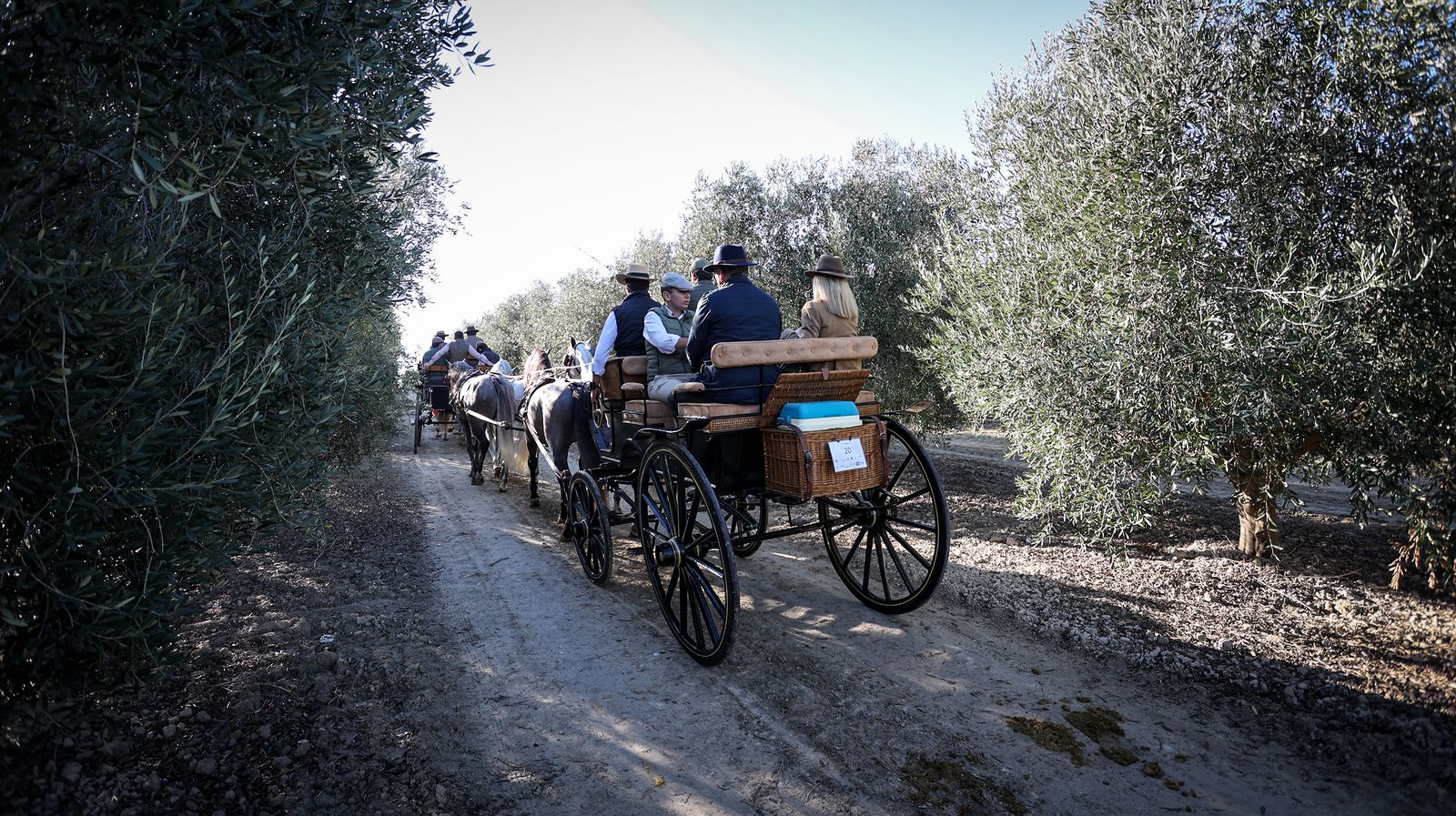 I Ruta de Carruajes Viñas de Jerez