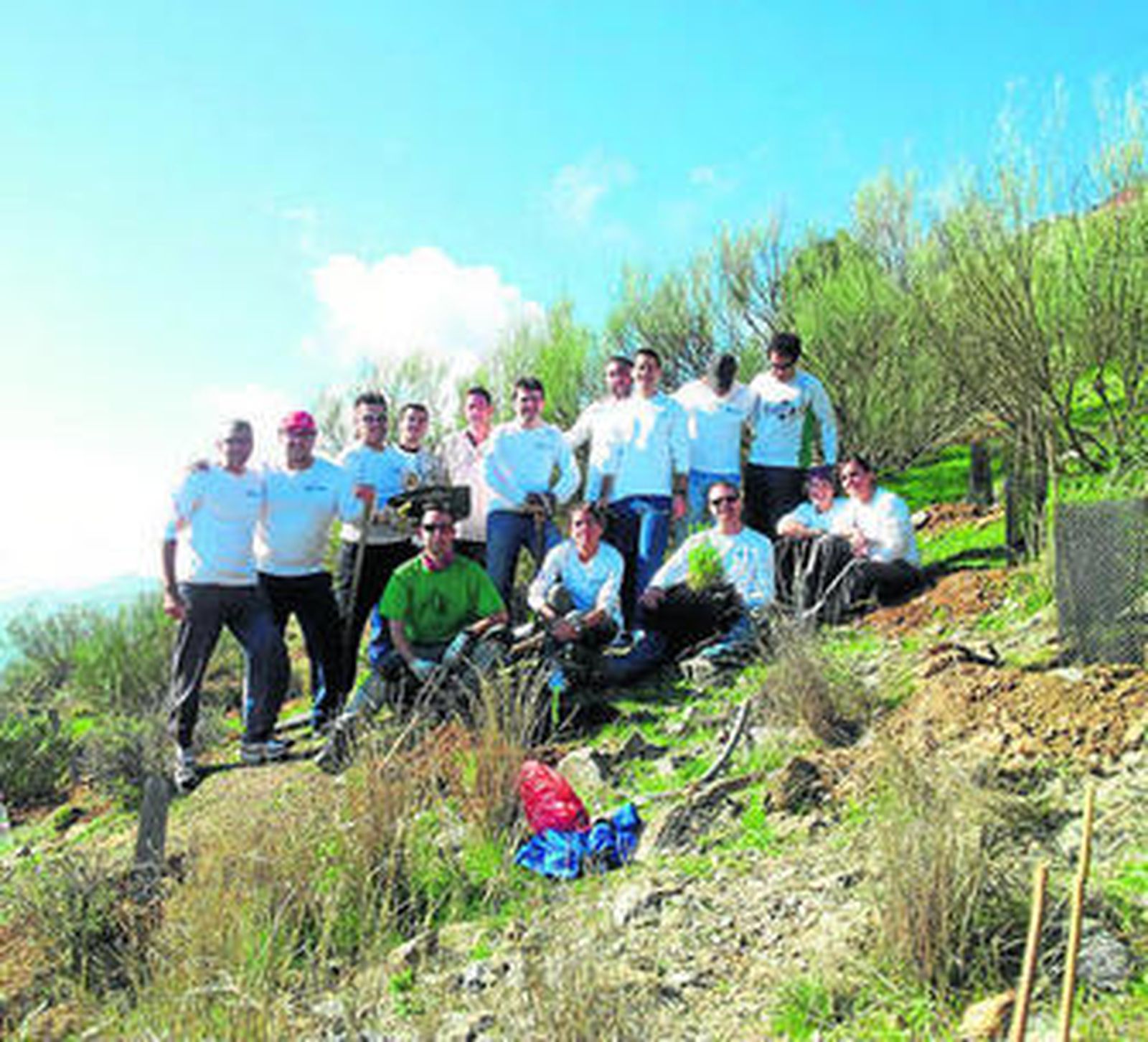 Reforestación solidaria en pleno bosque de Soportújar