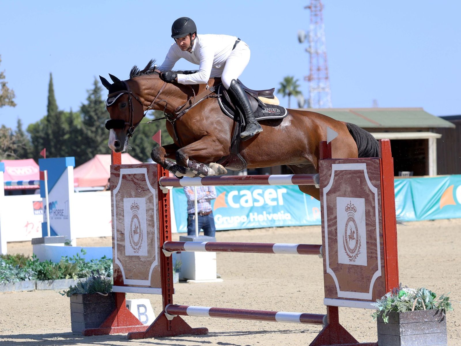 Pedro Fernando Mateos.