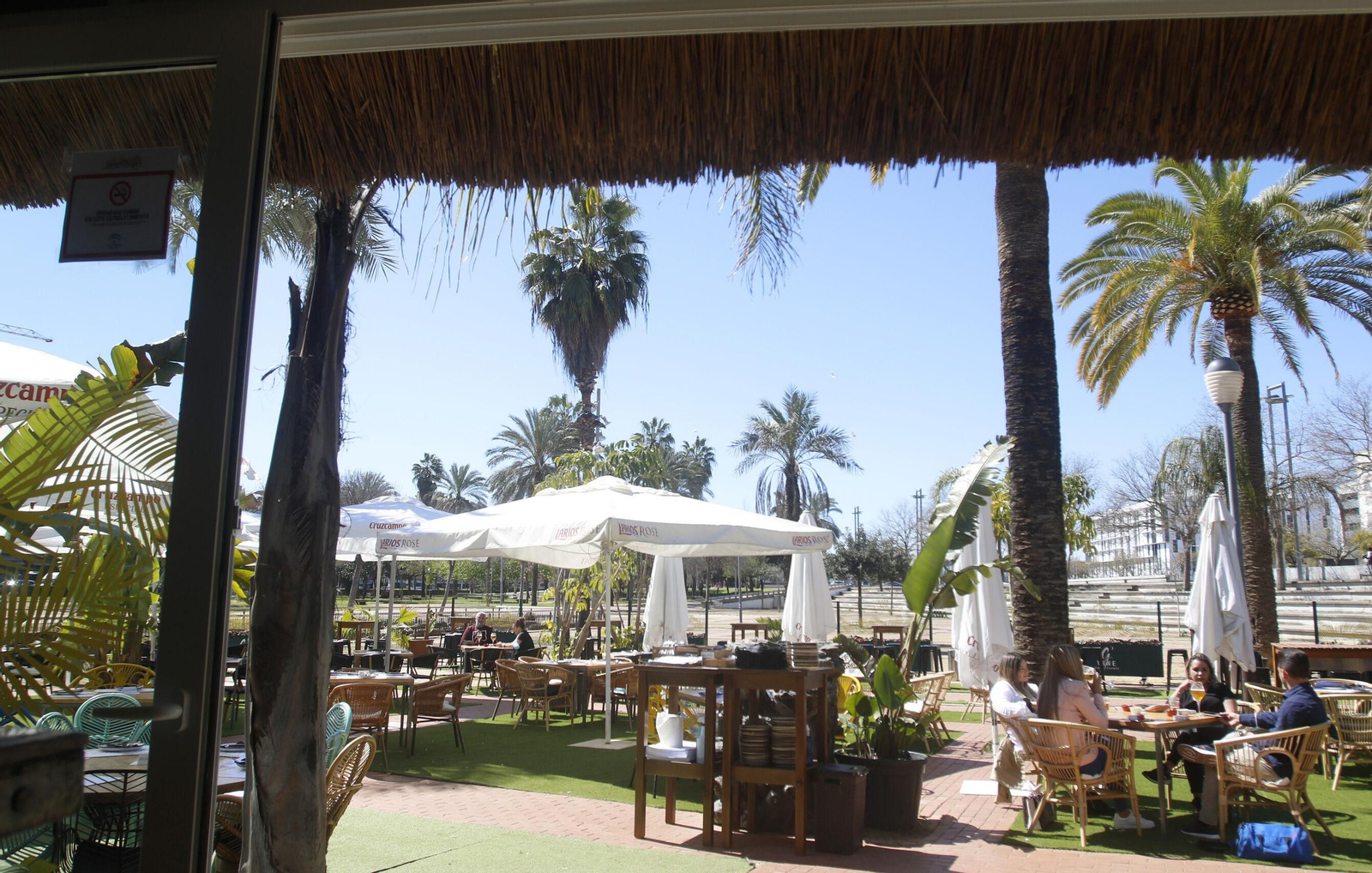 Terraza de Kamaleónika 84