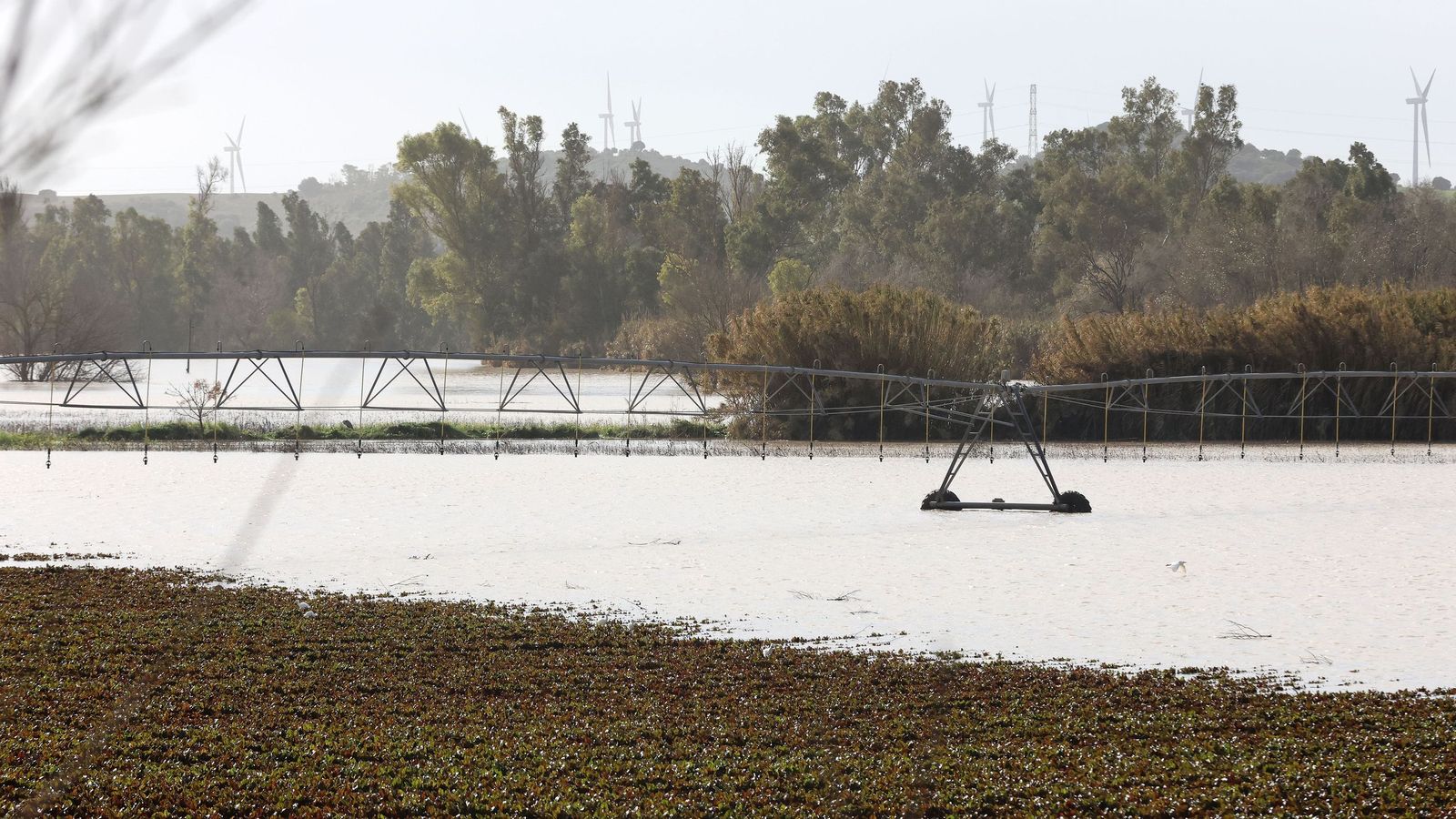 Así afronta la zona rural de Jerez la subida del río Guadalete