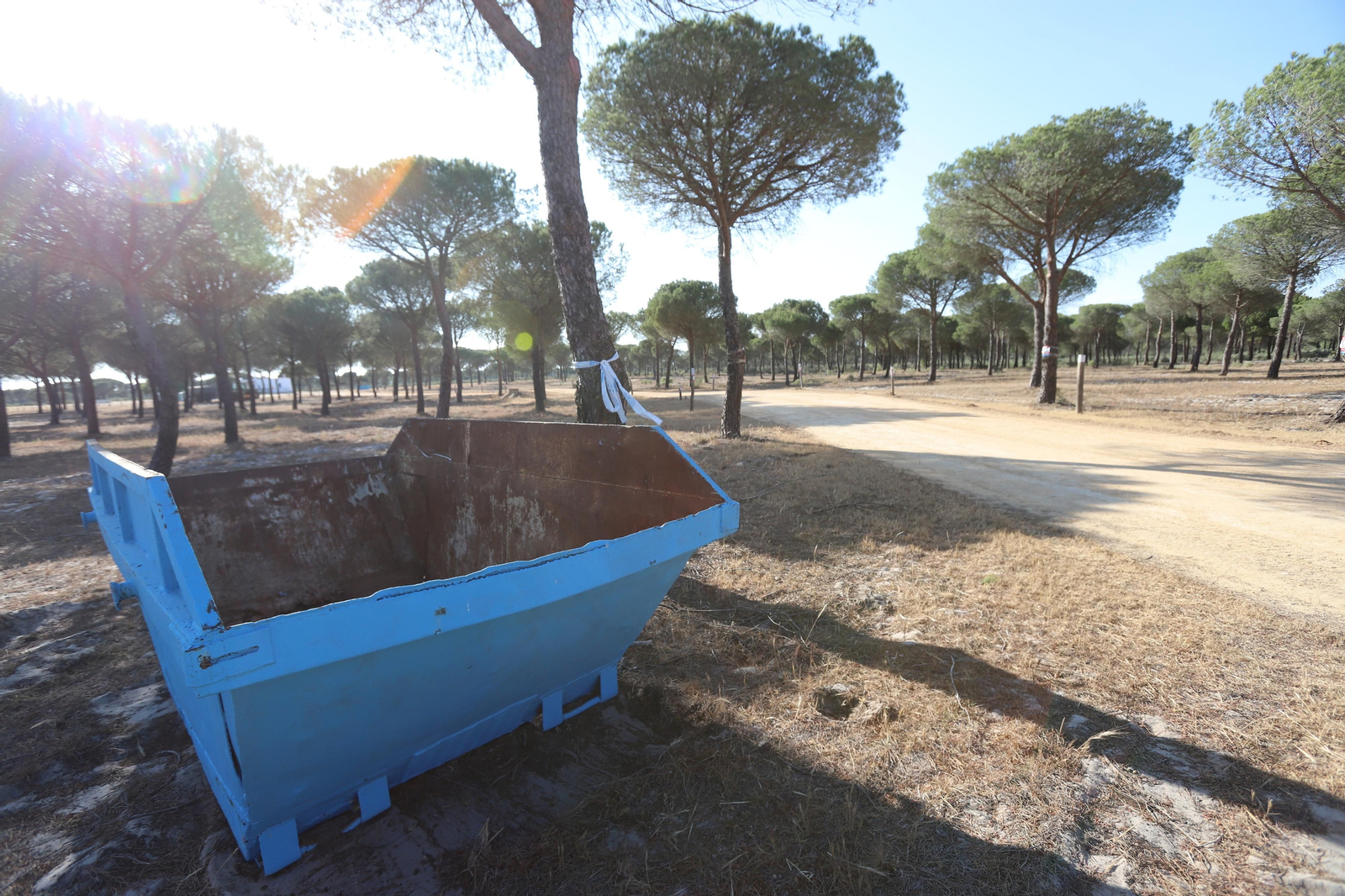 Imágenes del estado en el que se encuentran los caminos del Rocío para la Romería 2023