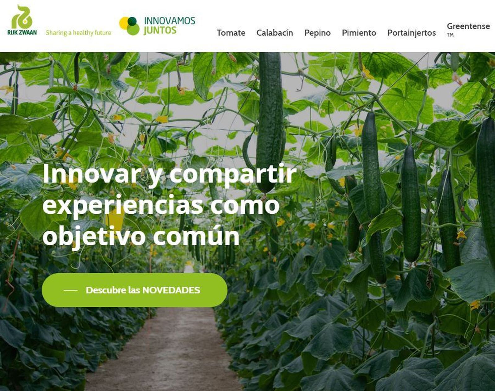 Nueva herramienta de Rijk Zwaan: 'Innovamos juntos'