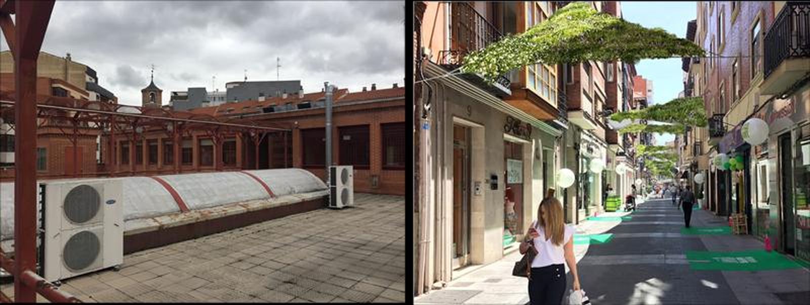 Ejemplo del proyecto de toldos vegetales en Valladolid